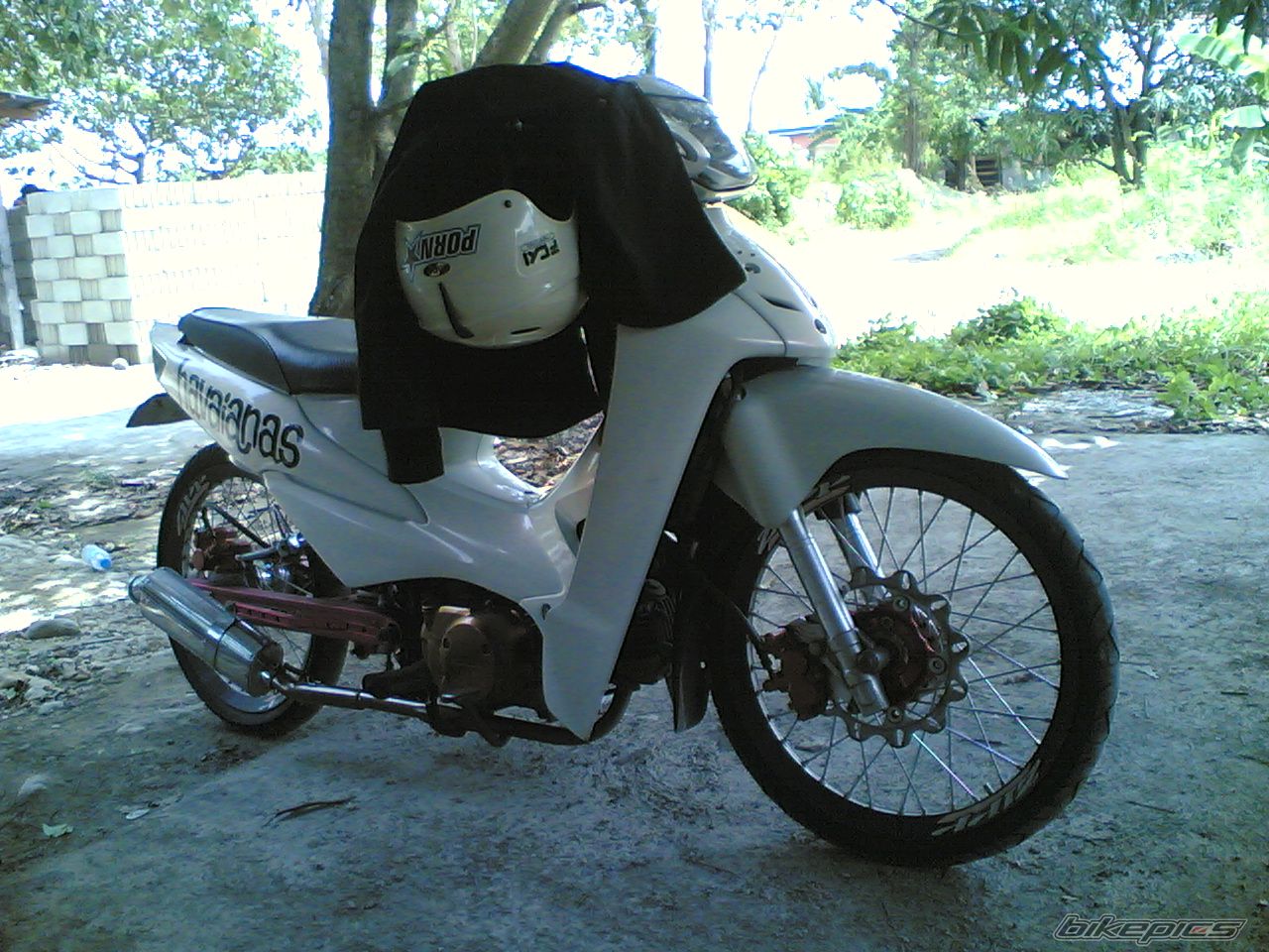 2009 HONDA WAVE 100 | Picture 1803672 motorcycle photo