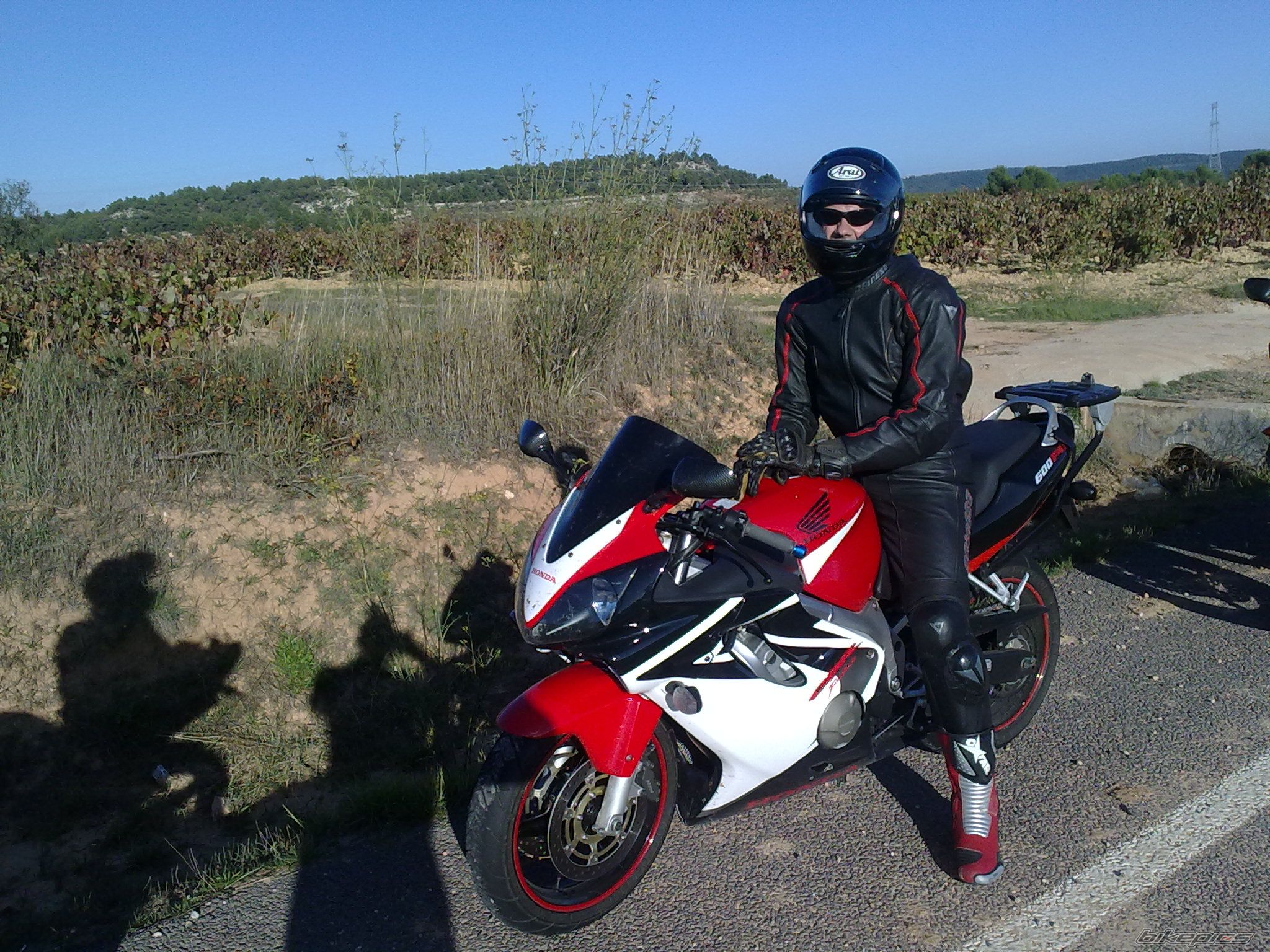 2002 HONDA CBR 600 | Picture 1803779 motorcycle photo