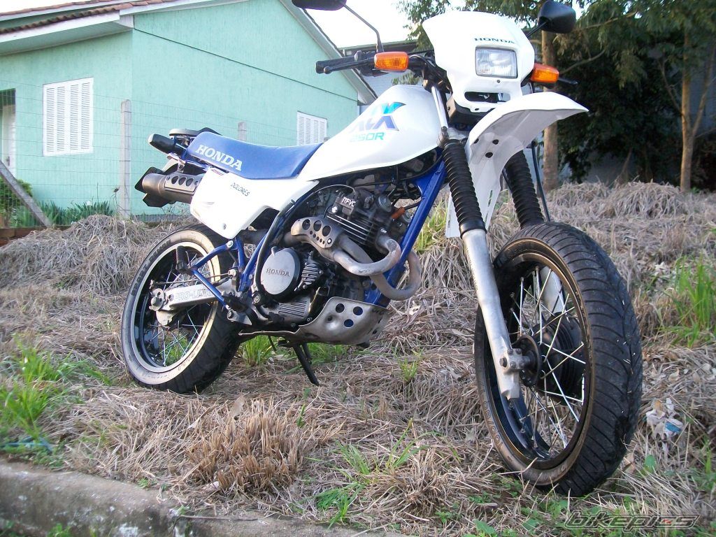 1990 HONDA XLX 250 | Picture 1803877 motorcycle photo