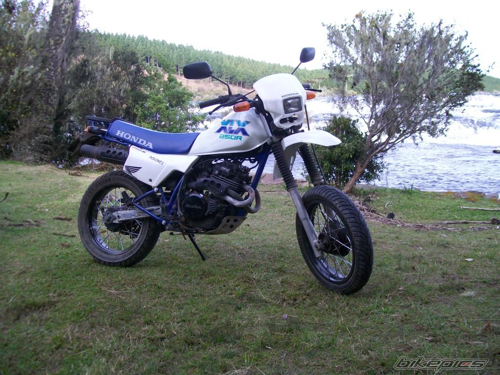 1990 HONDA XLX 250 | Picture 1803884 motorcycle photo
