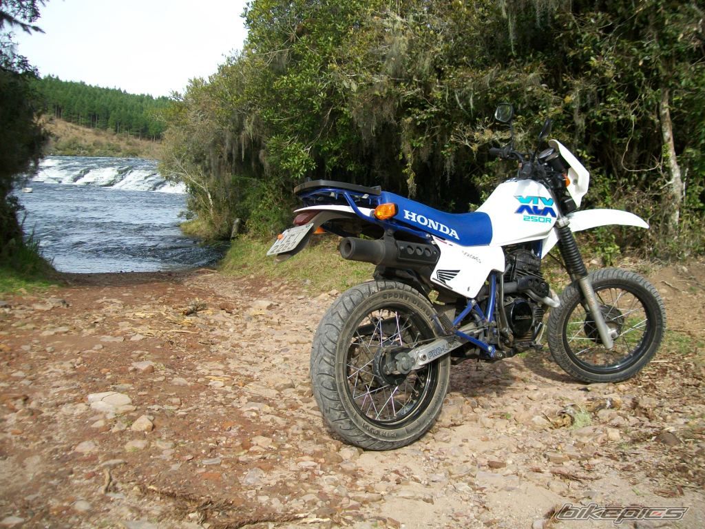 1990 HONDA XLX 250 | Picture 1803887 motorcycle photo