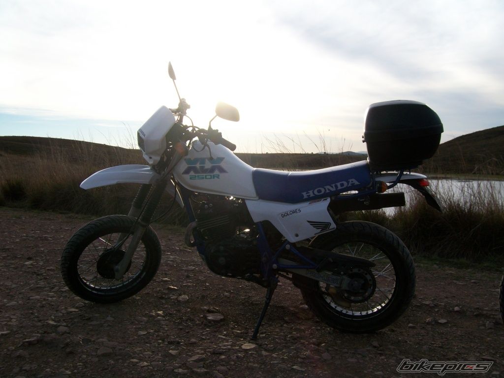 1990 HONDA XLX 250 | Picture 1803891 motorcycle photo