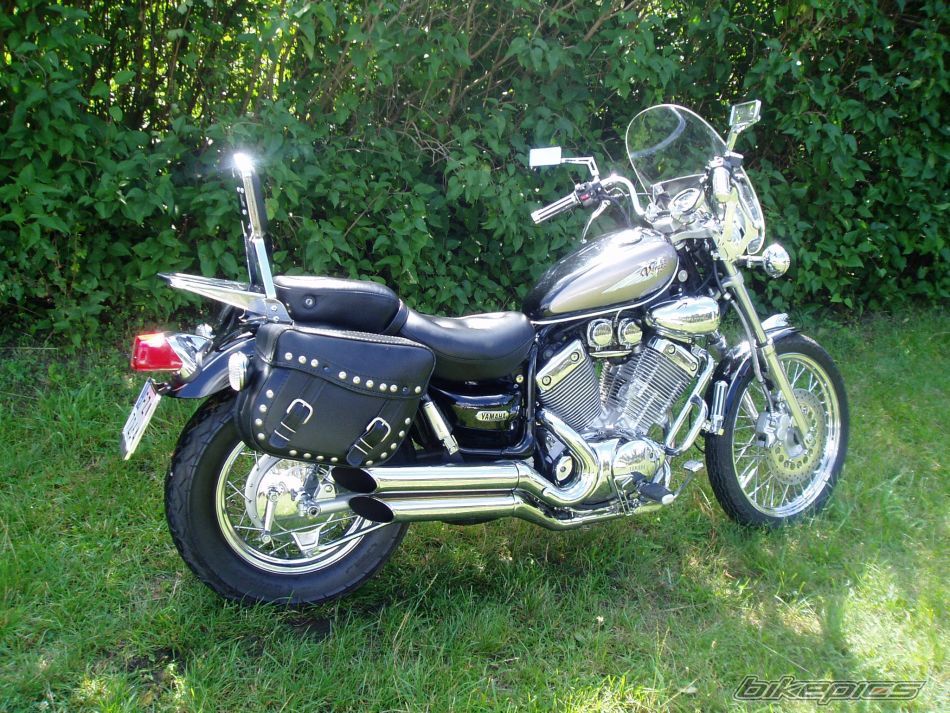 2000 YAMAHA VIRAGO 535 | Picture 1803984 motorcycle photo