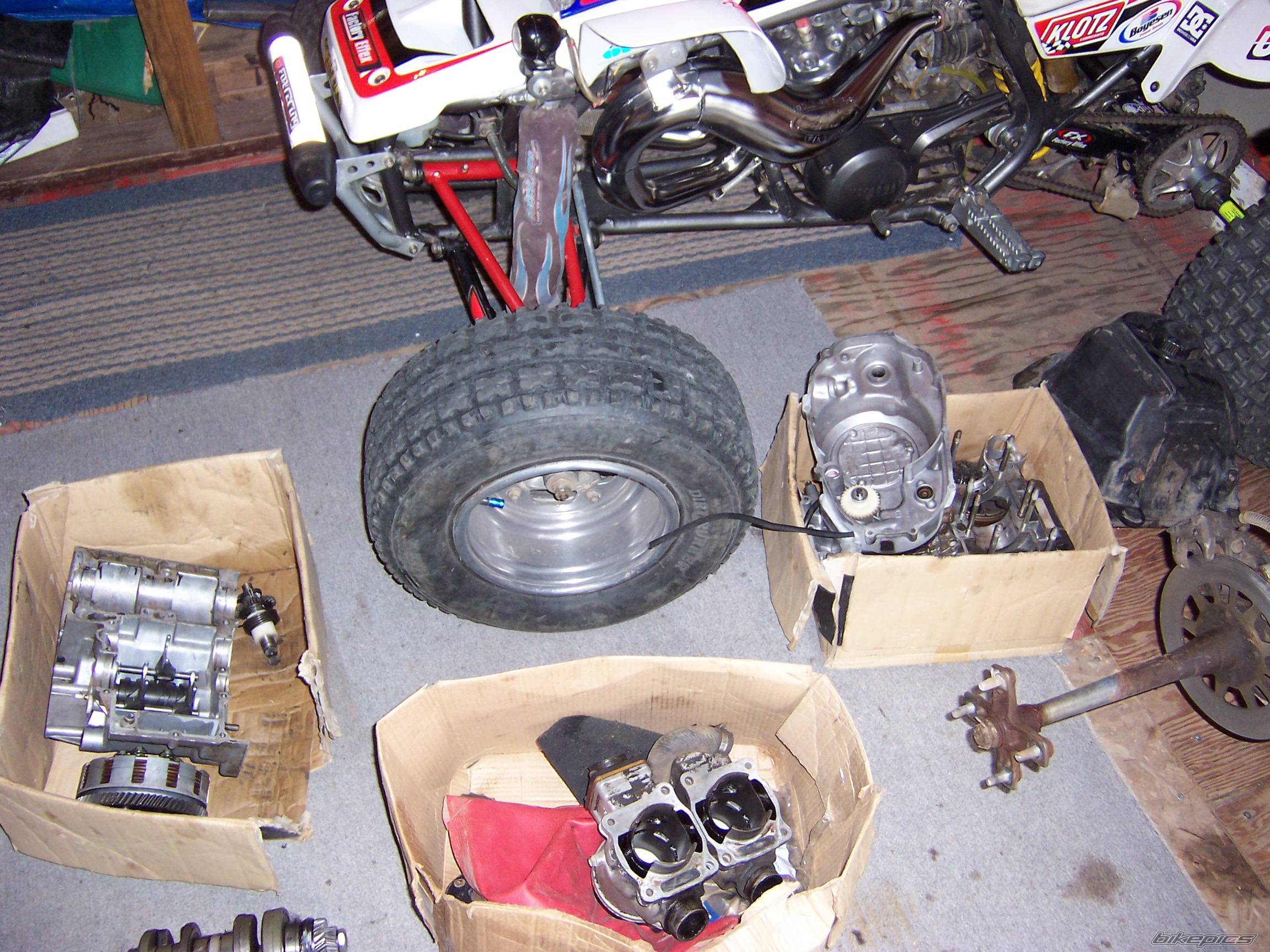 1995 YAMAHA BANSHEE | Picture 180445 motorcycle photo