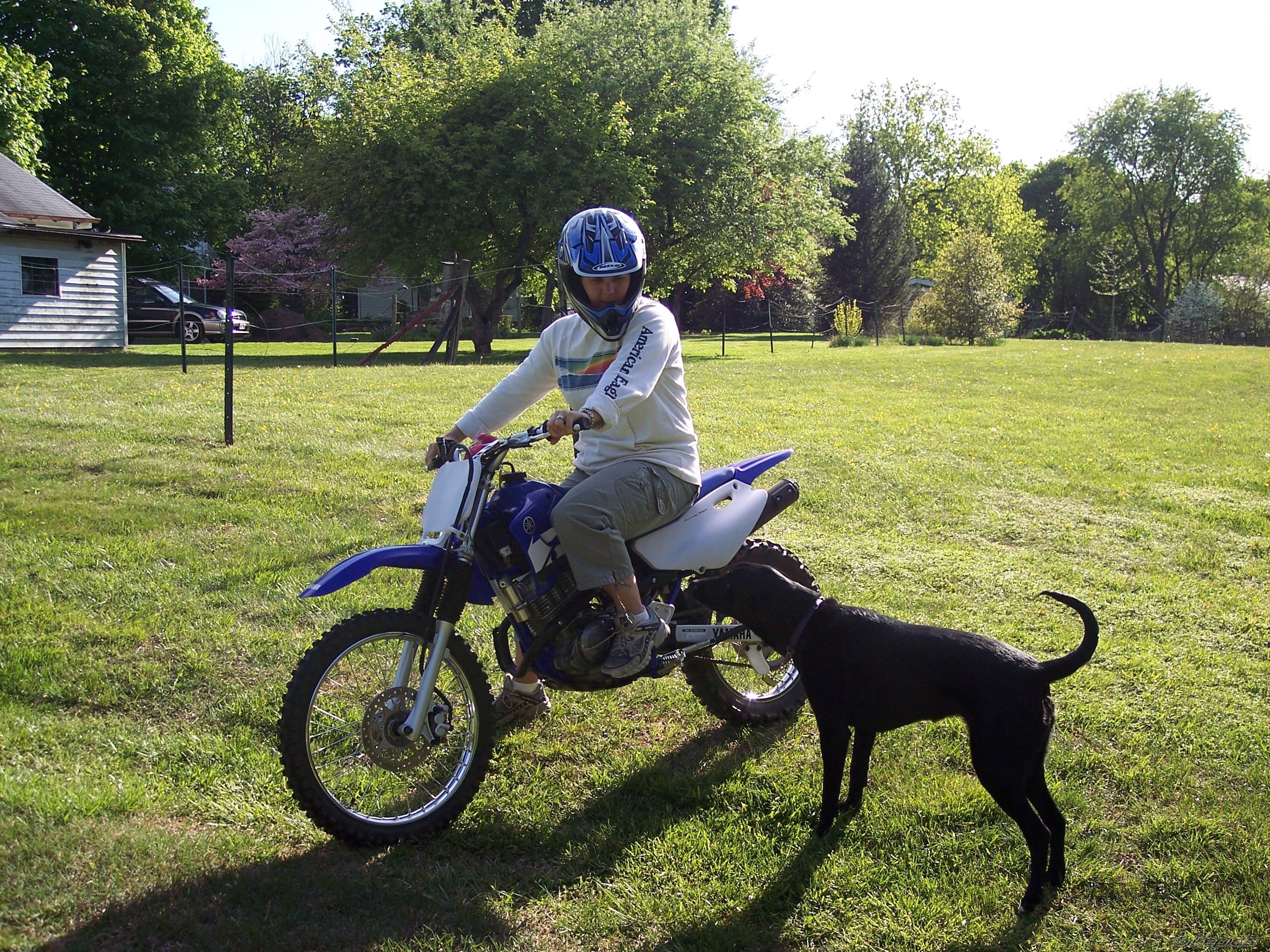2005 YAMAHA TTR 125 | Picture 1804783 motorcycle photo