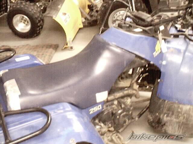 2002 YAMAHA BANSHEE | Picture 18051 motorcycle photo
