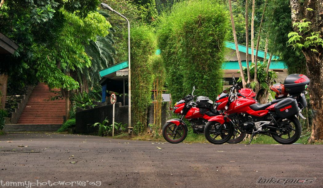 2008 BAJAJ PULSAR 200 | Picture 1805797 motorcycle photo
