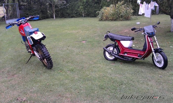 2009 SIMSON SR 50 | Picture 1805830 motorcycle photo