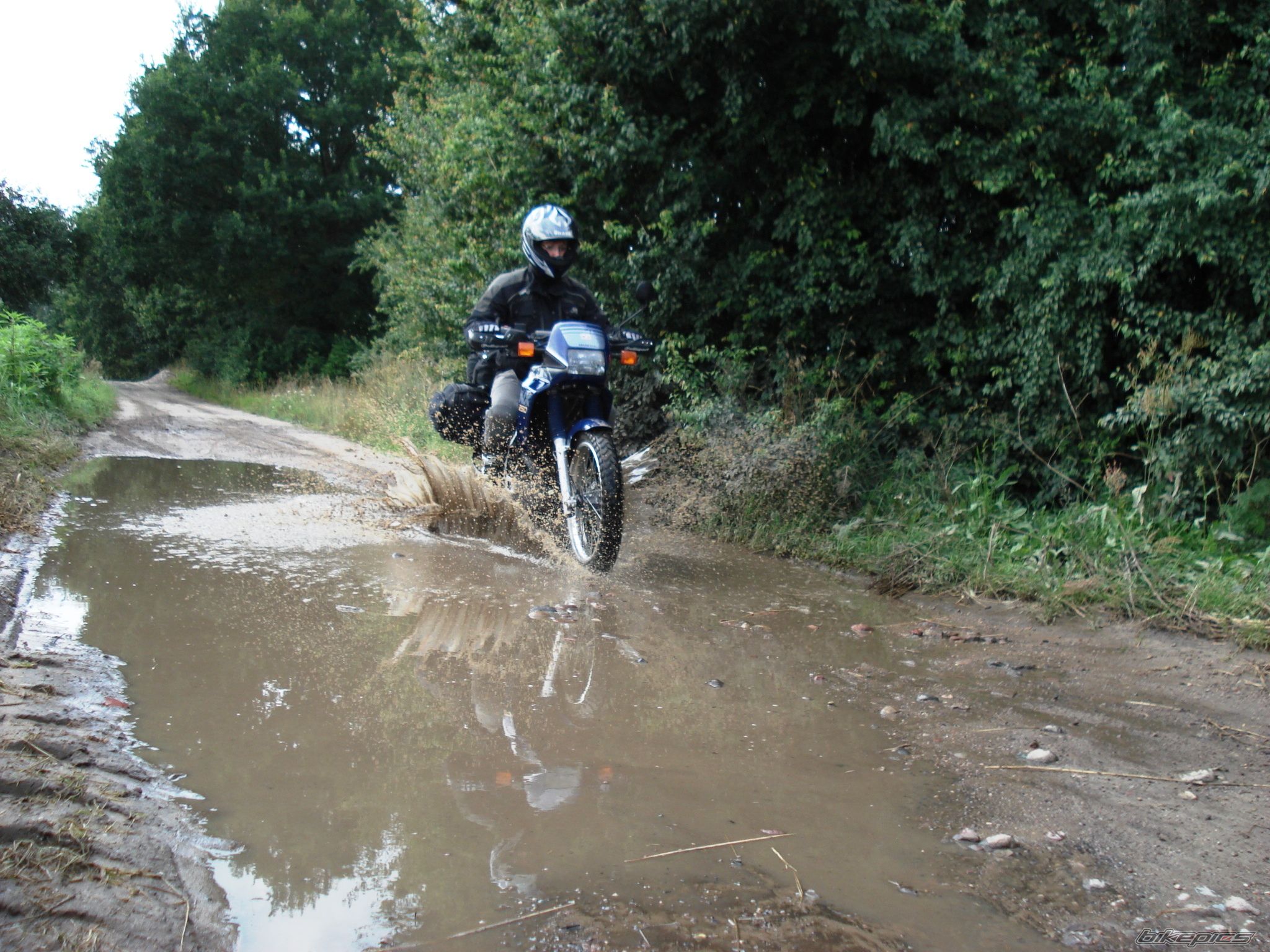 1989 HONDA NX 250 | Picture 1805969 motorcycle photo