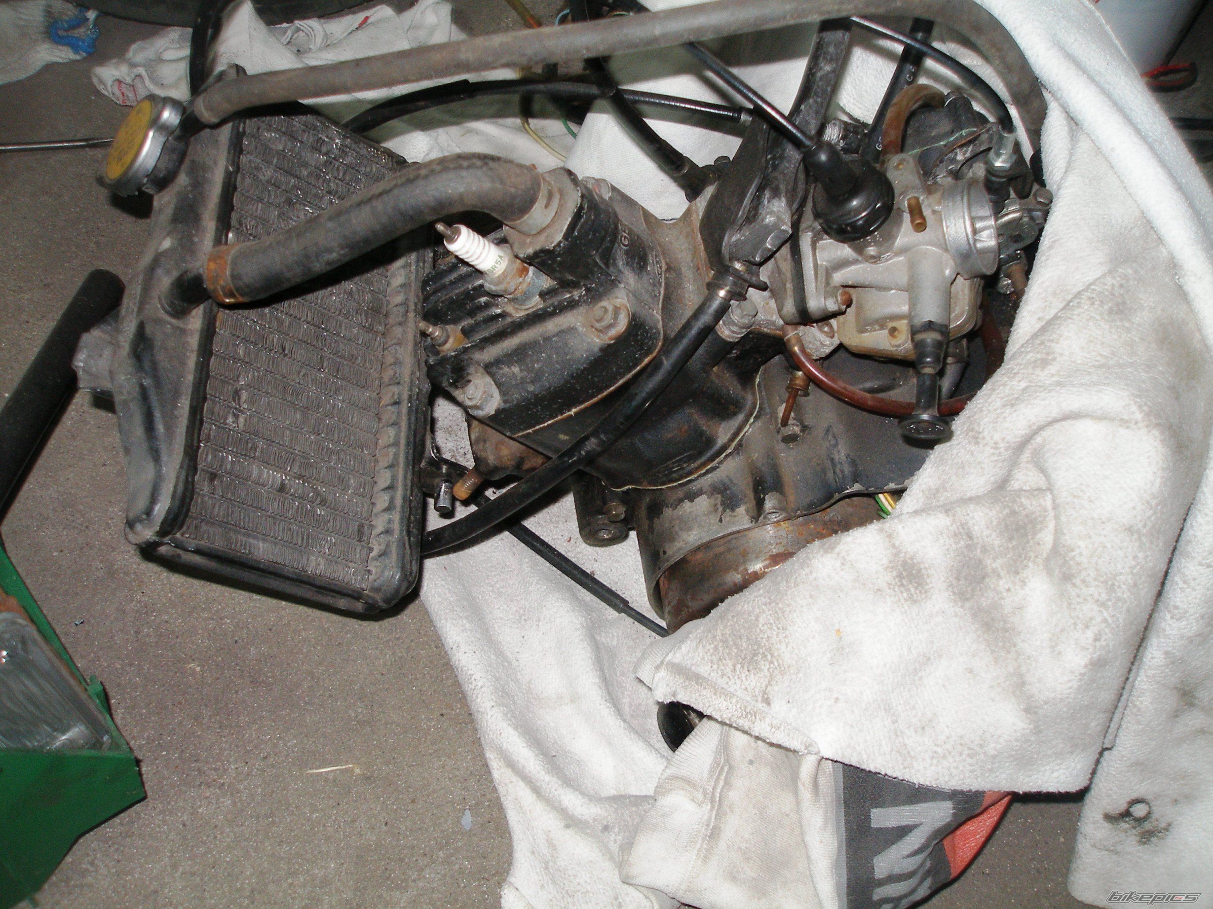 1989 HONDA MBX 80 | Picture 1806221 motorcycle photo