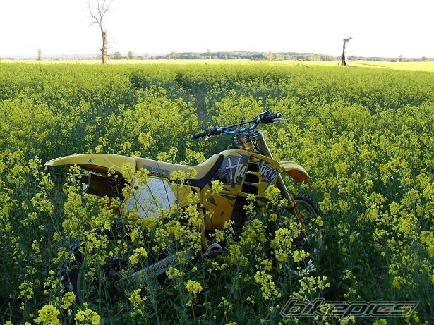 1995 HUSABERG FE 600 | Picture 1806914 motorcycle photo