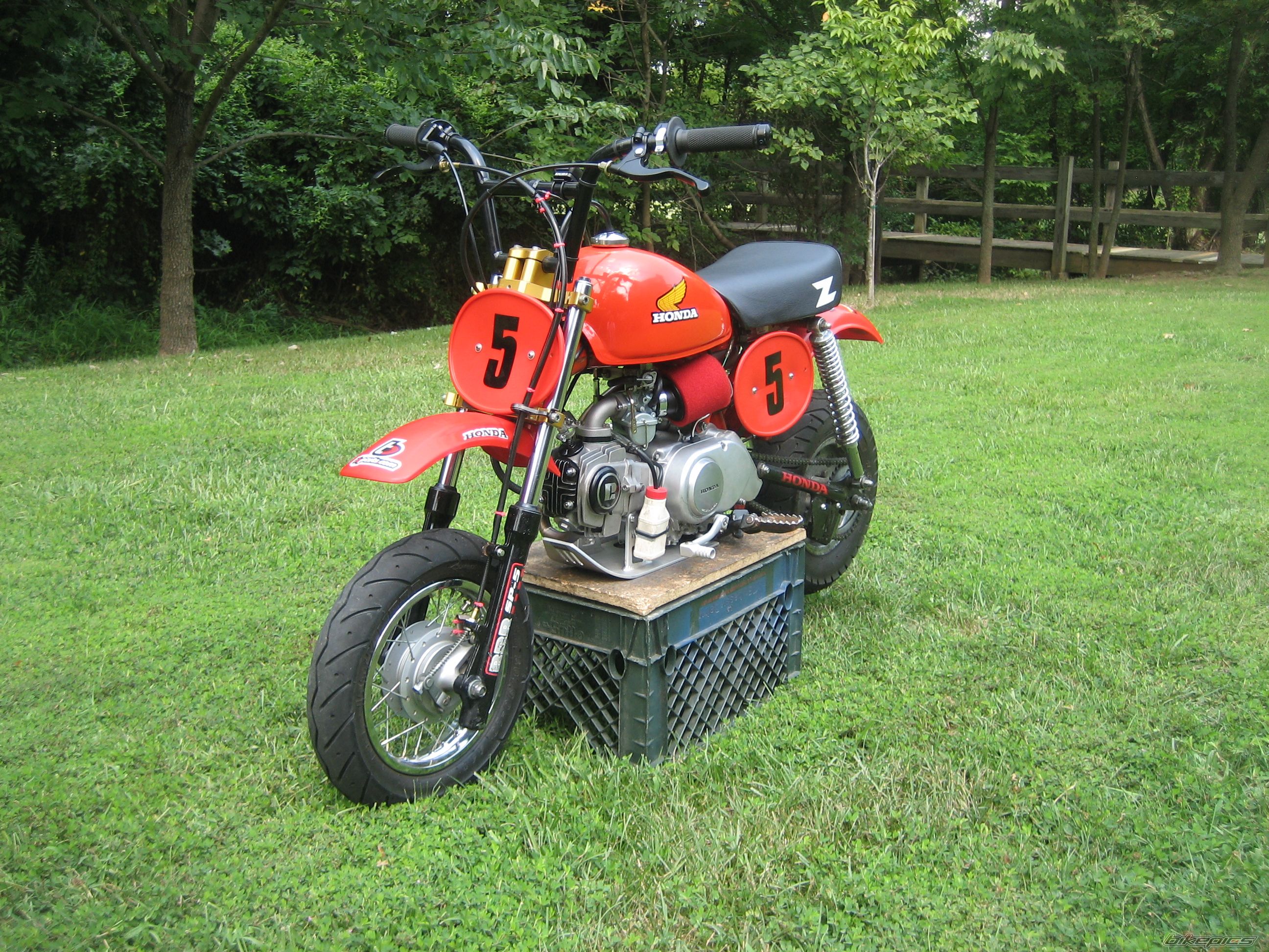 1984 HONDA Z 50 | Picture 1807005 motorcycle photo