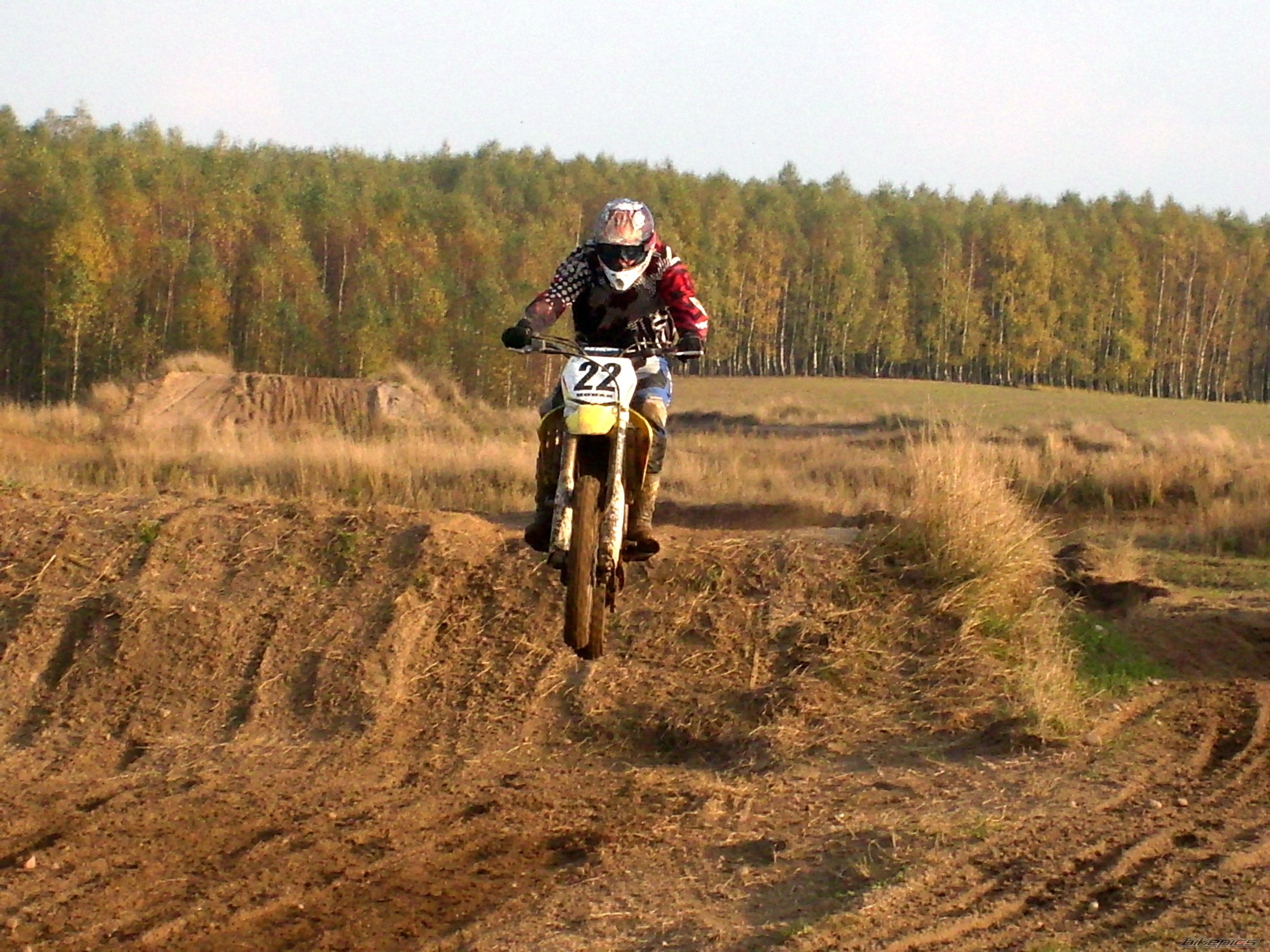 2007 SUZUKI RM 250 Z | Picture 1807973 motorcycle photo