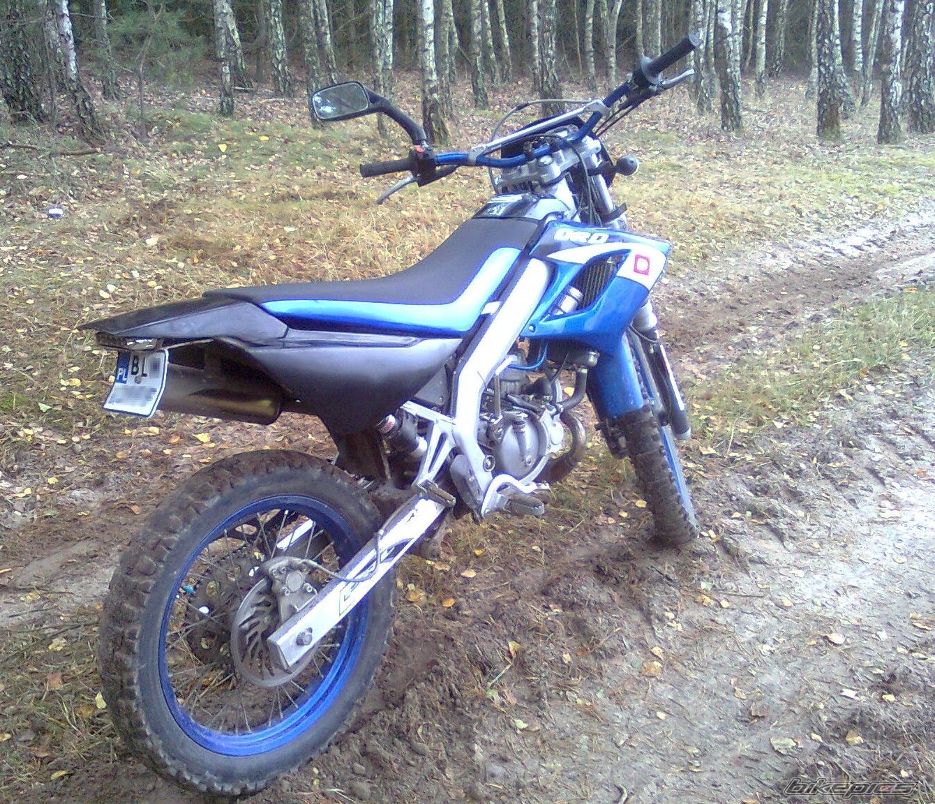2005 DERBI SENDA DRD R | Picture 1808924 motorcycle photo