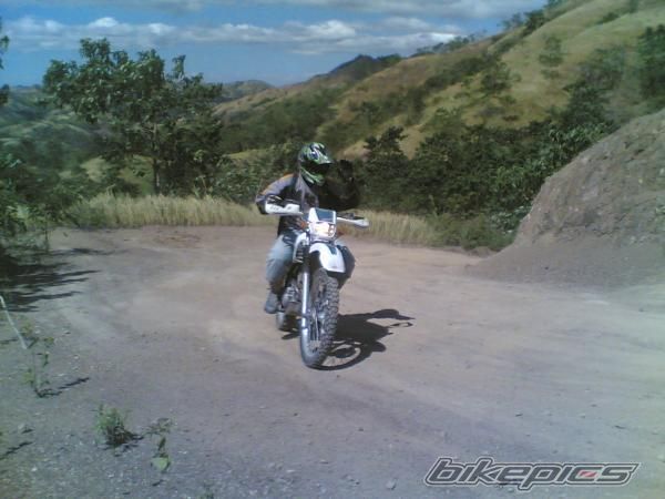 2009 HONDA XR 280 | Picture 1810022 motorcycle photo