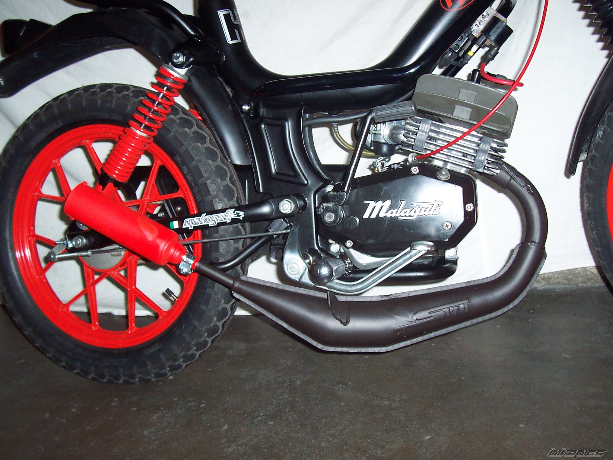 1979 MALAGUTI FIFTY HF | Picture 1810419 motorcycle photo