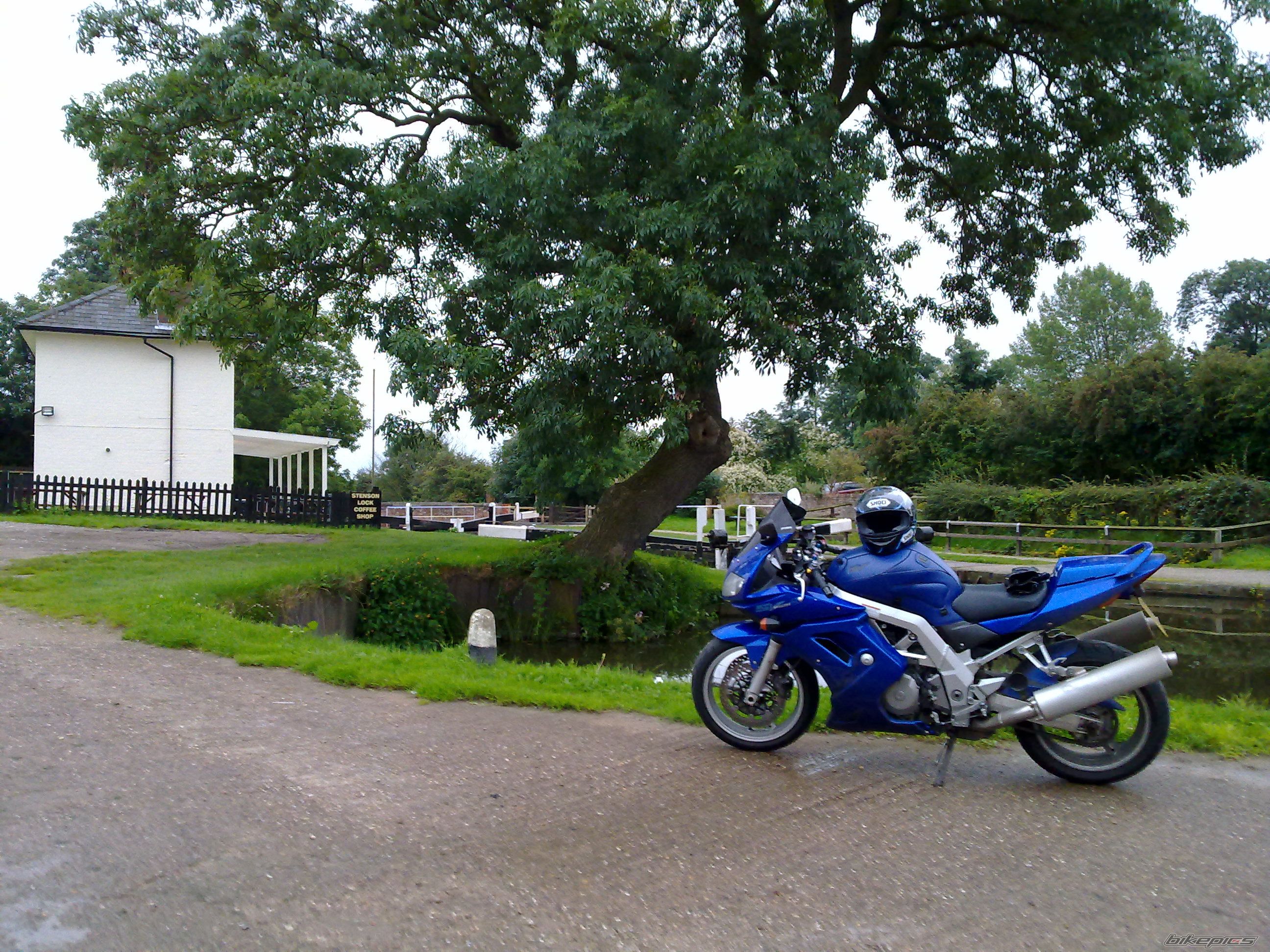 2003 SUZUKI SV 1000 S | Picture 1810450 motorcycle photo