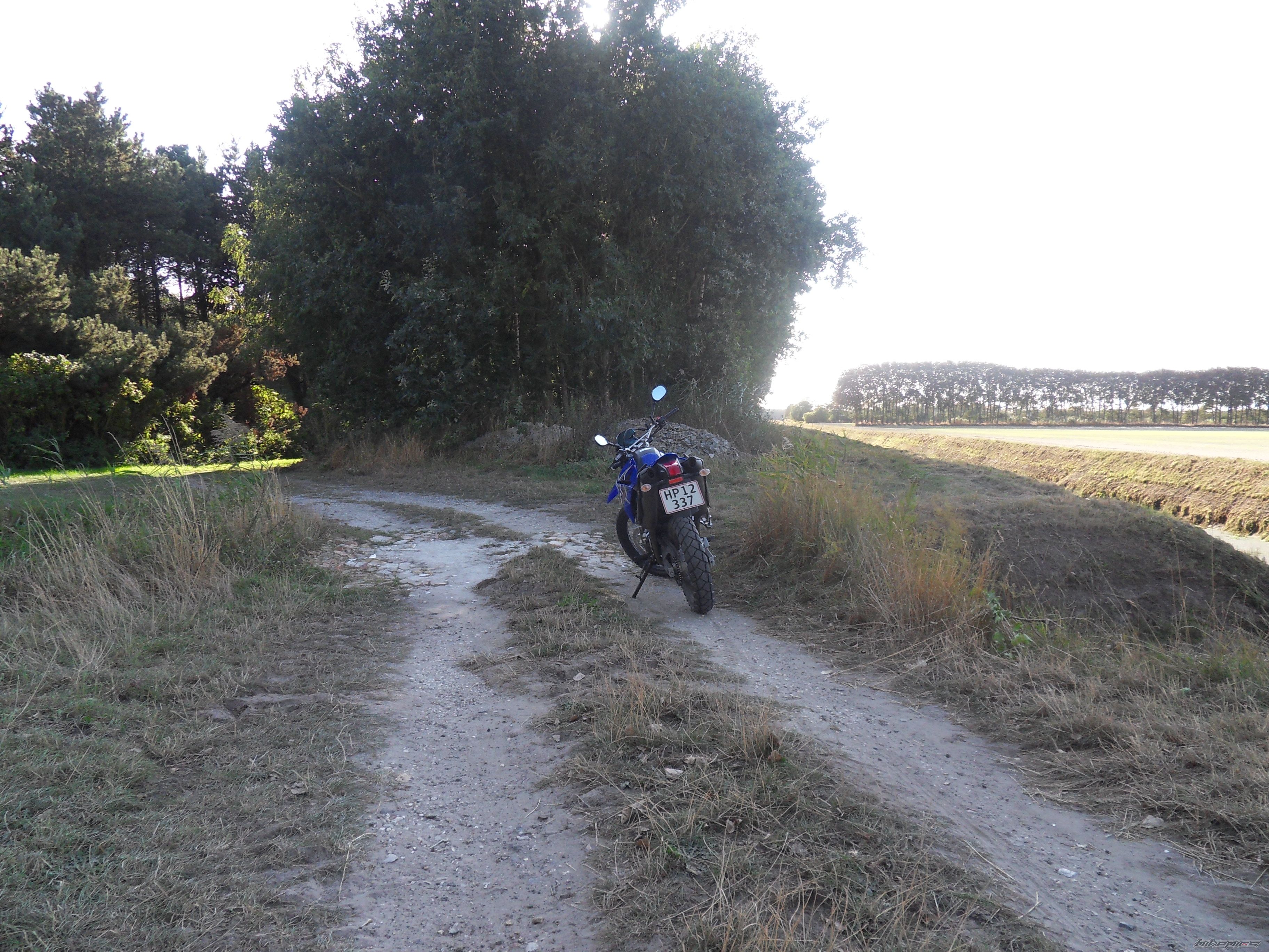 2008 YAMAHA XT 660 | Picture 1810456 motorcycle photo