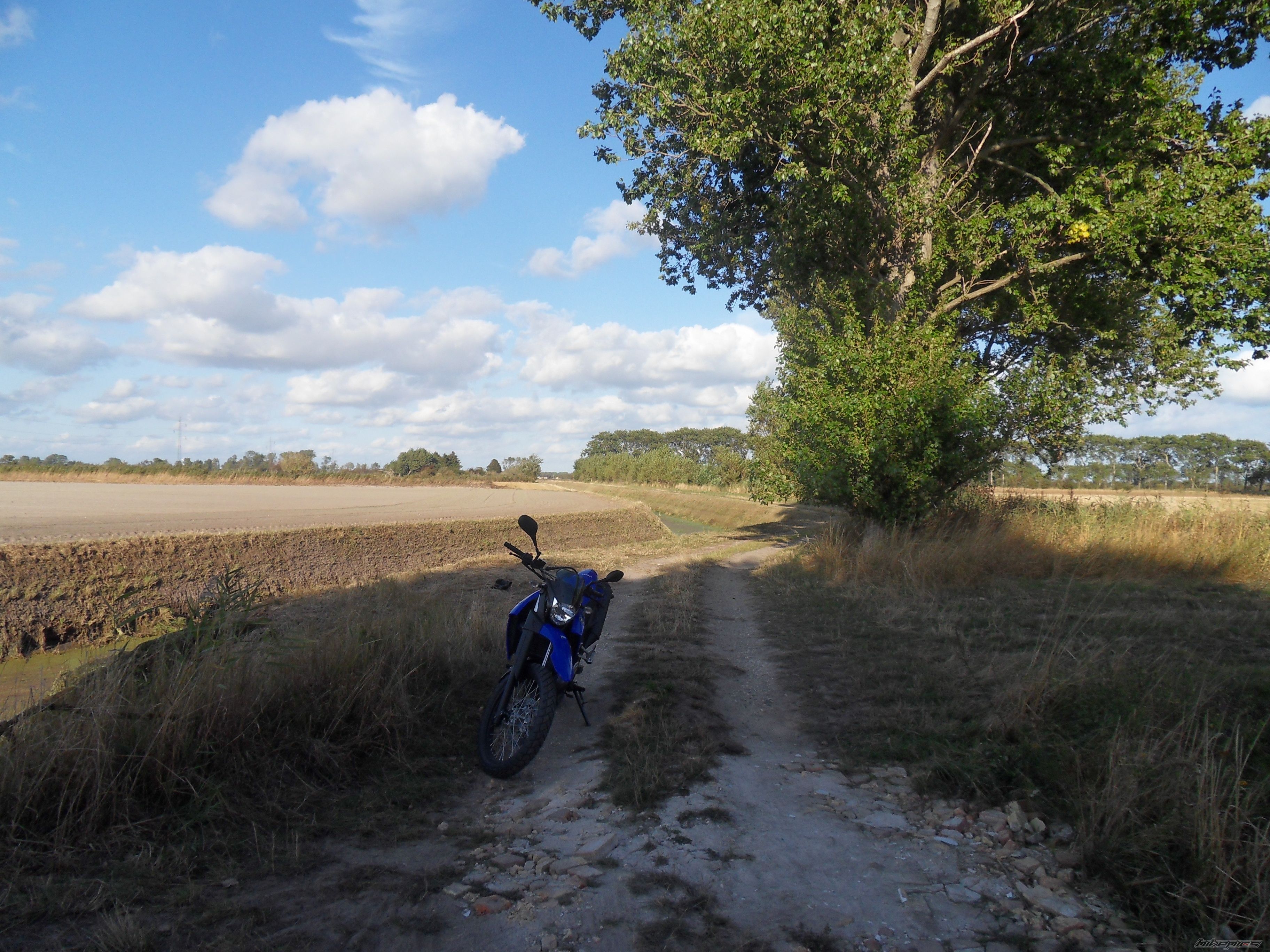 2008 YAMAHA XT 660 | Picture 1810461 motorcycle photo