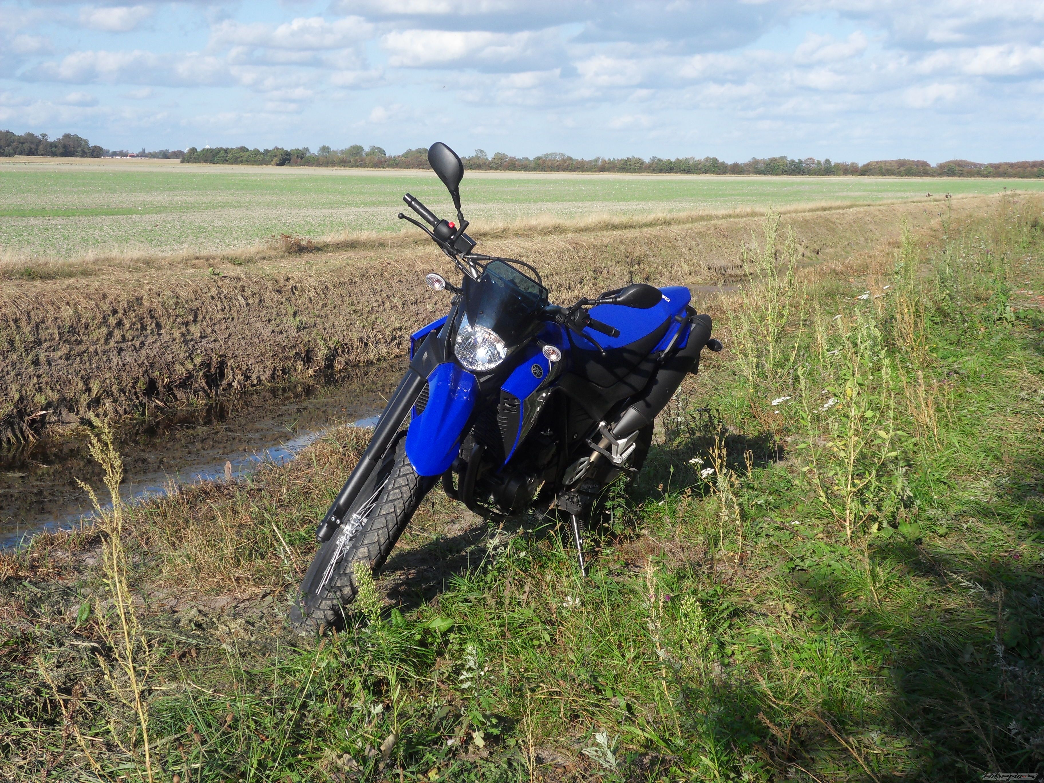 2008 YAMAHA XT 660 | Picture 1810467 motorcycle photo
