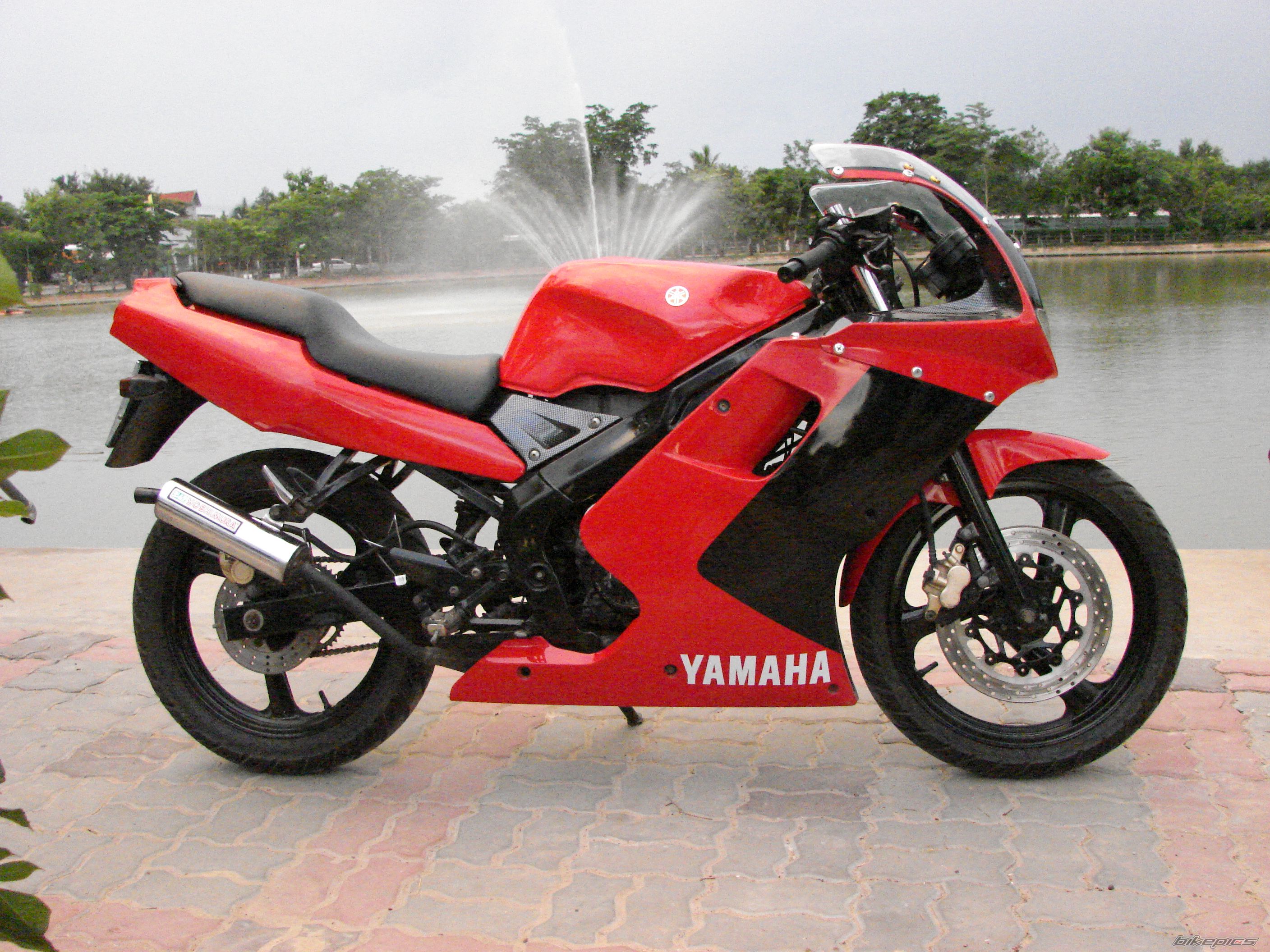 2007 YAMAHA TZM 150 | Picture 1810928 motorcycle photo