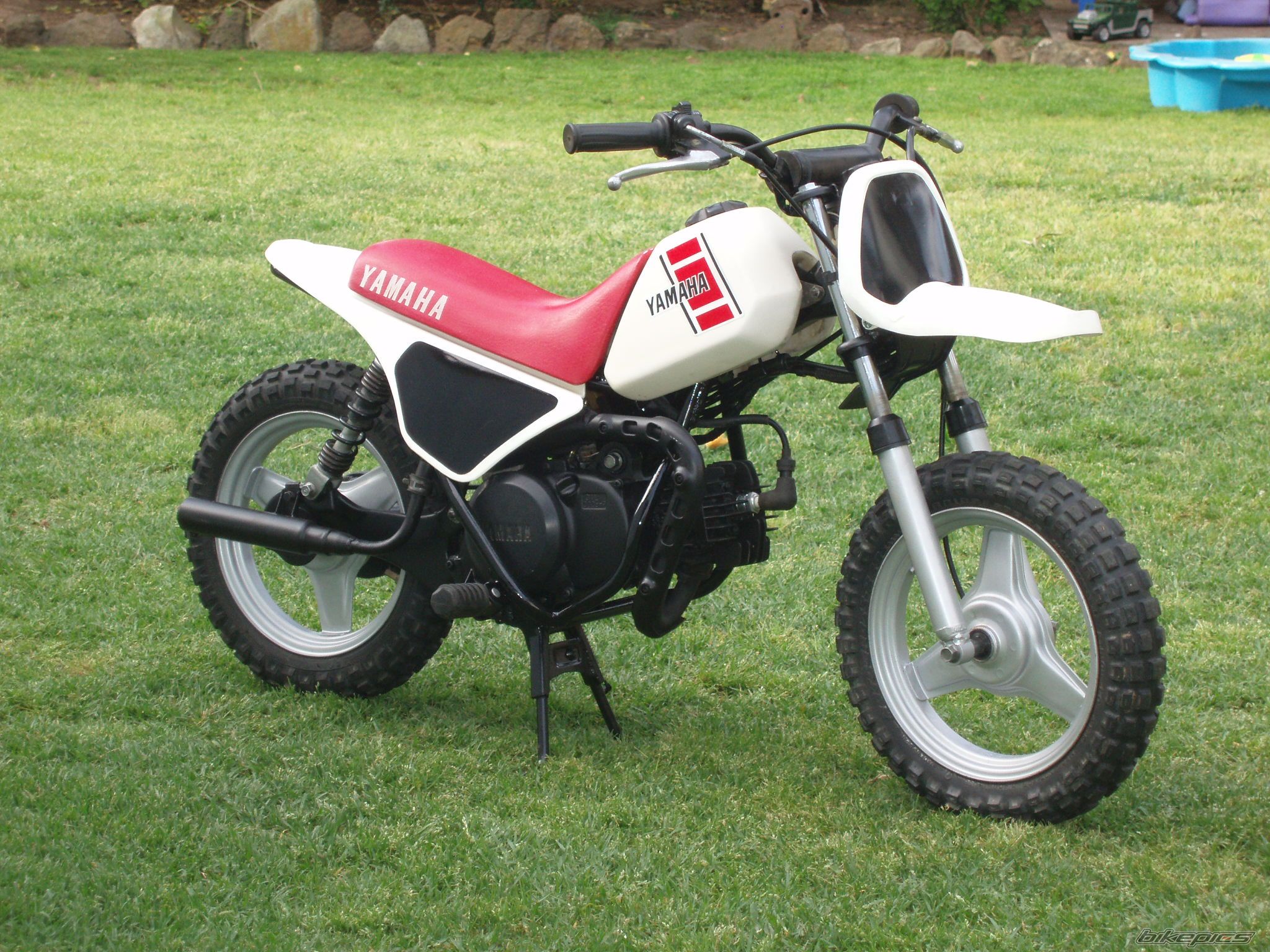 1982 YAMAHA PW 50 | Picture 1810941 motorcycle photo