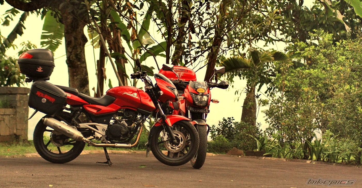 2008 BAJAJ PULSAR 200 | Picture 1811348 motorcycle photo