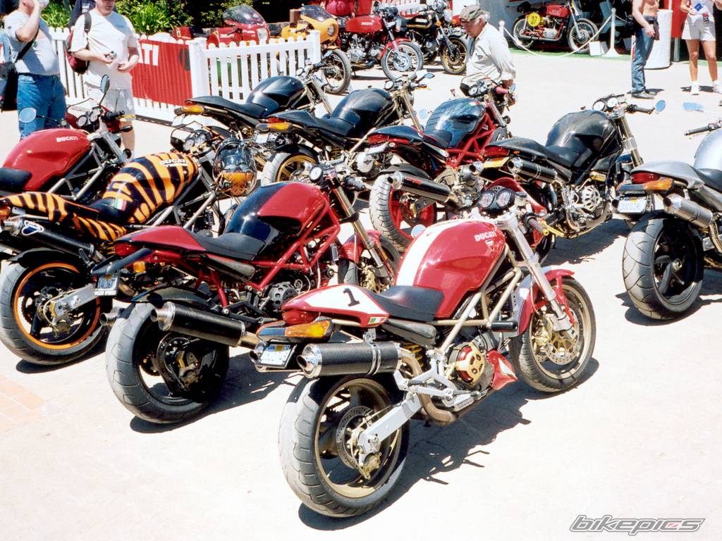 2000 DUCATI MONSTER 900 | Picture 181145 motorcycle photo