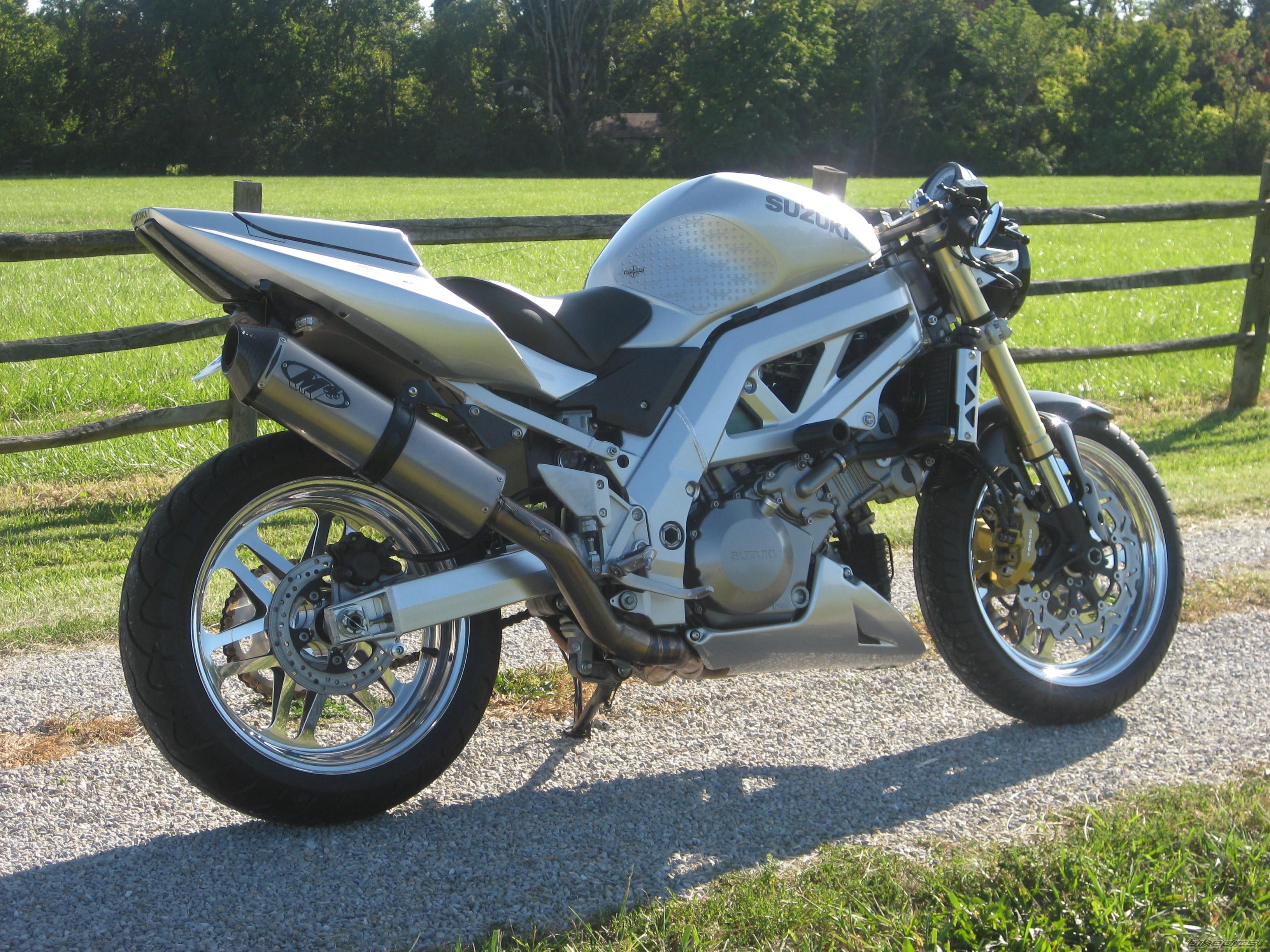 2003 SUZUKI SV 1000 | Picture 1812525 motorcycle photo