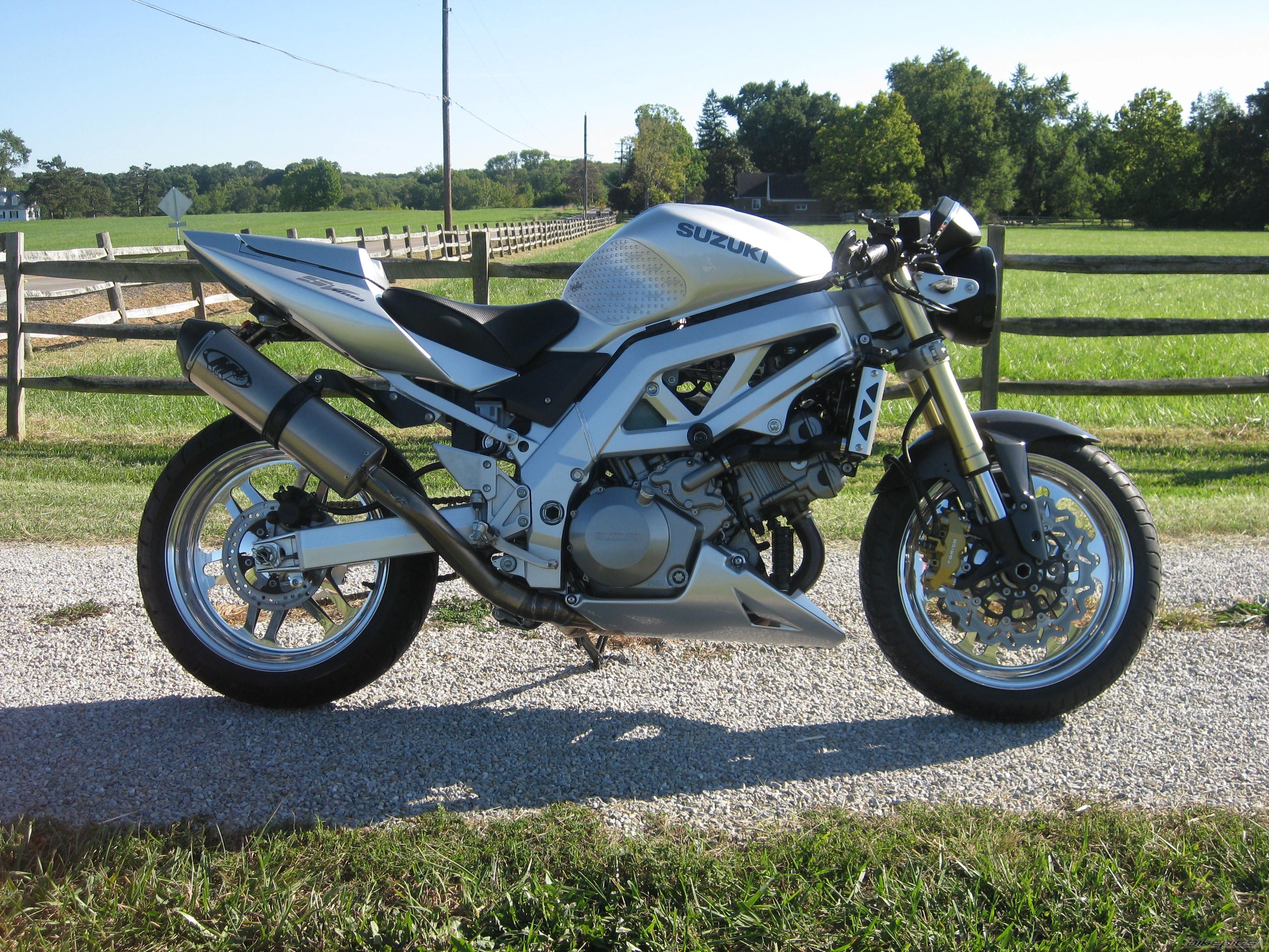2003 SUZUKI SV 1000 | Picture 1812529 motorcycle photo