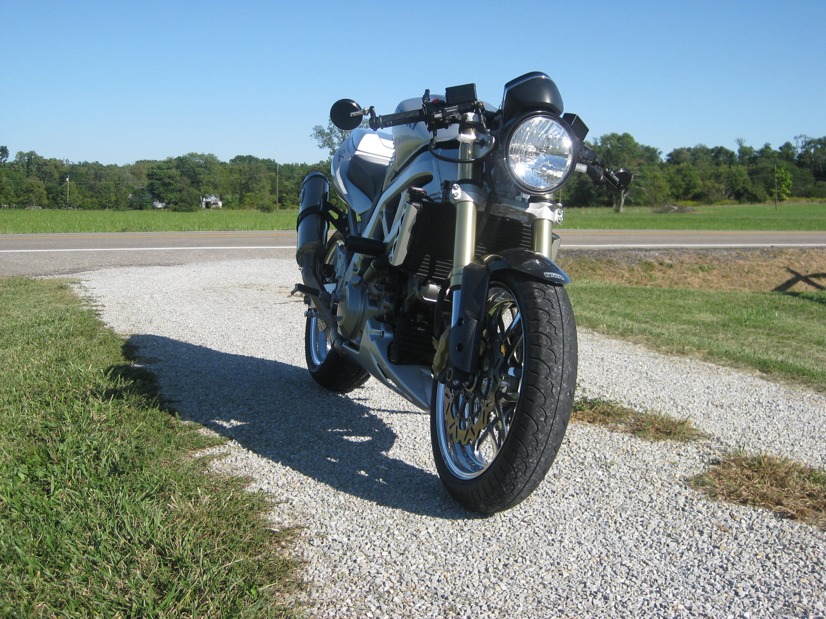 2003 SUZUKI SV 1000 | Picture 1812530 motorcycle photo