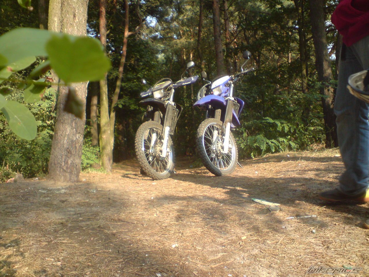 2005 YAMAHA DT 125 | Picture 1812551 motorcycle photo