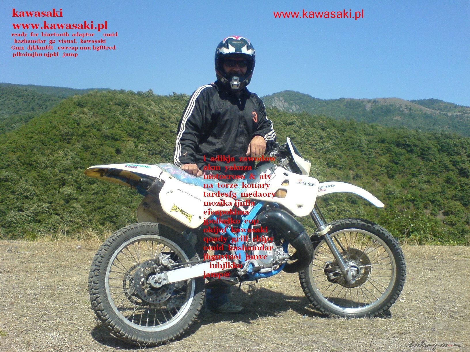 2009 KAWASAKI KX 250F | Picture 1813021 motorcycle photo