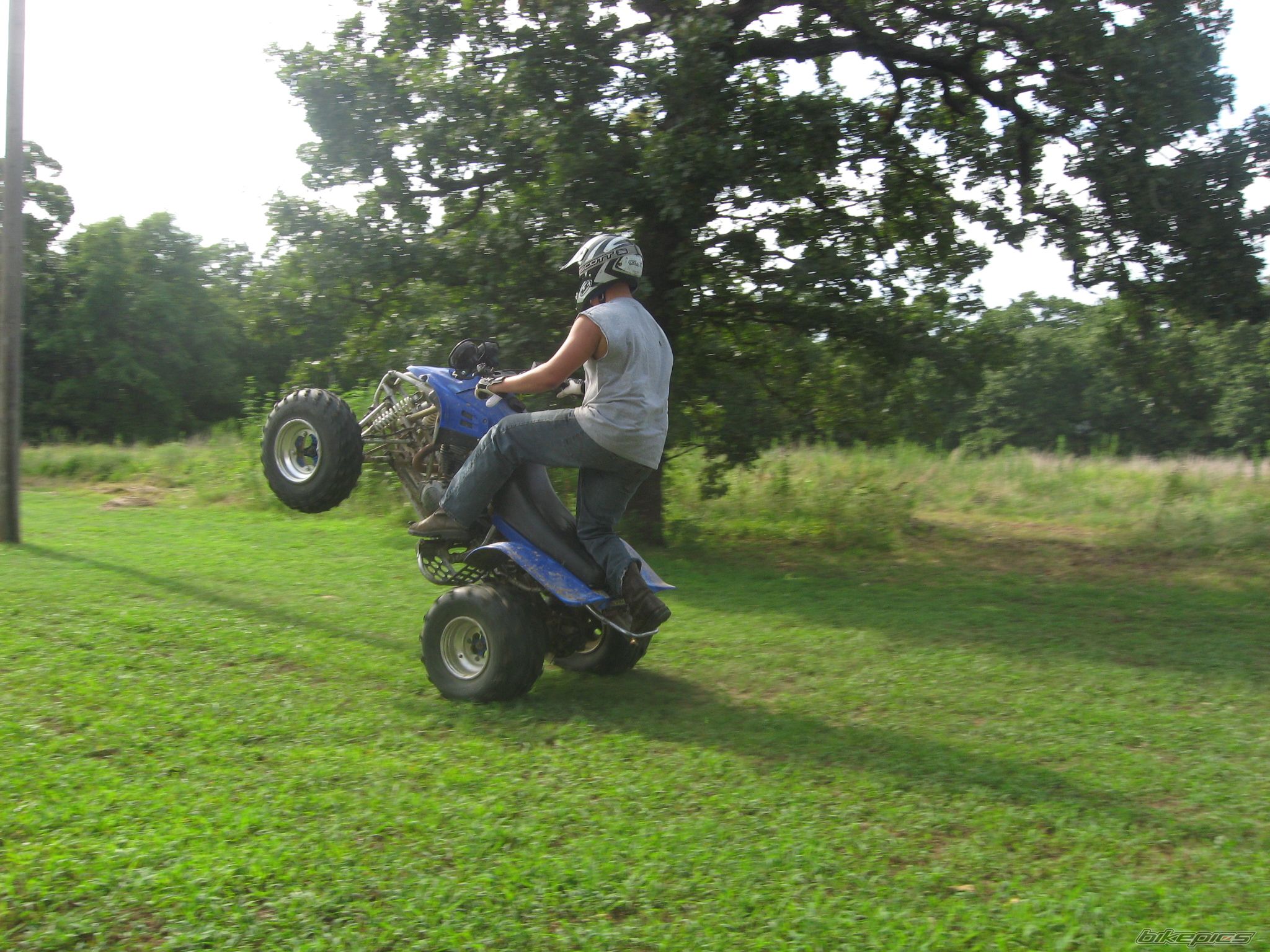 2000 YAMAHA WARRIOR | Picture 1813188 motorcycle photo