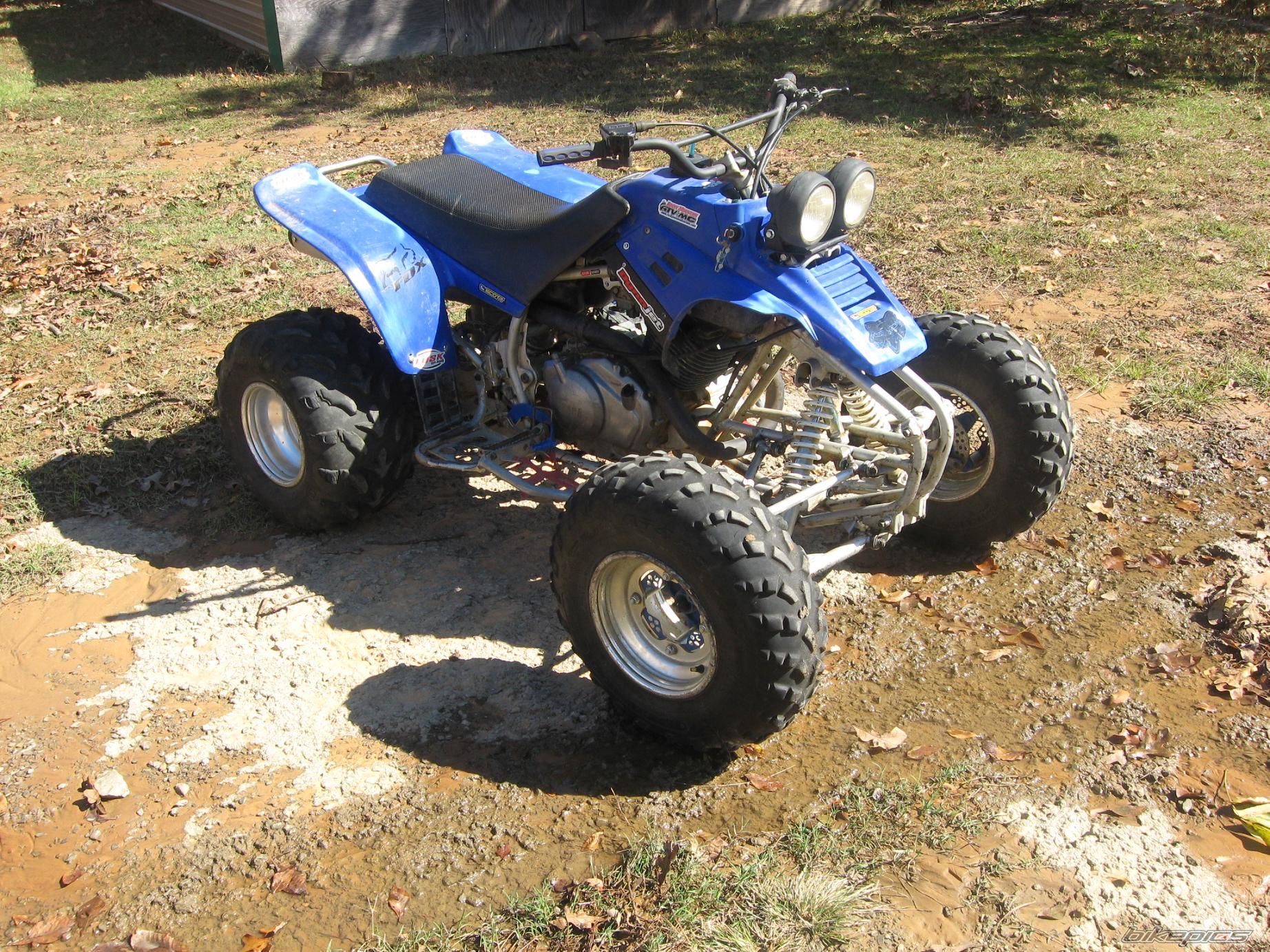 2000 YAMAHA WARRIOR | Picture 1813192 motorcycle photo