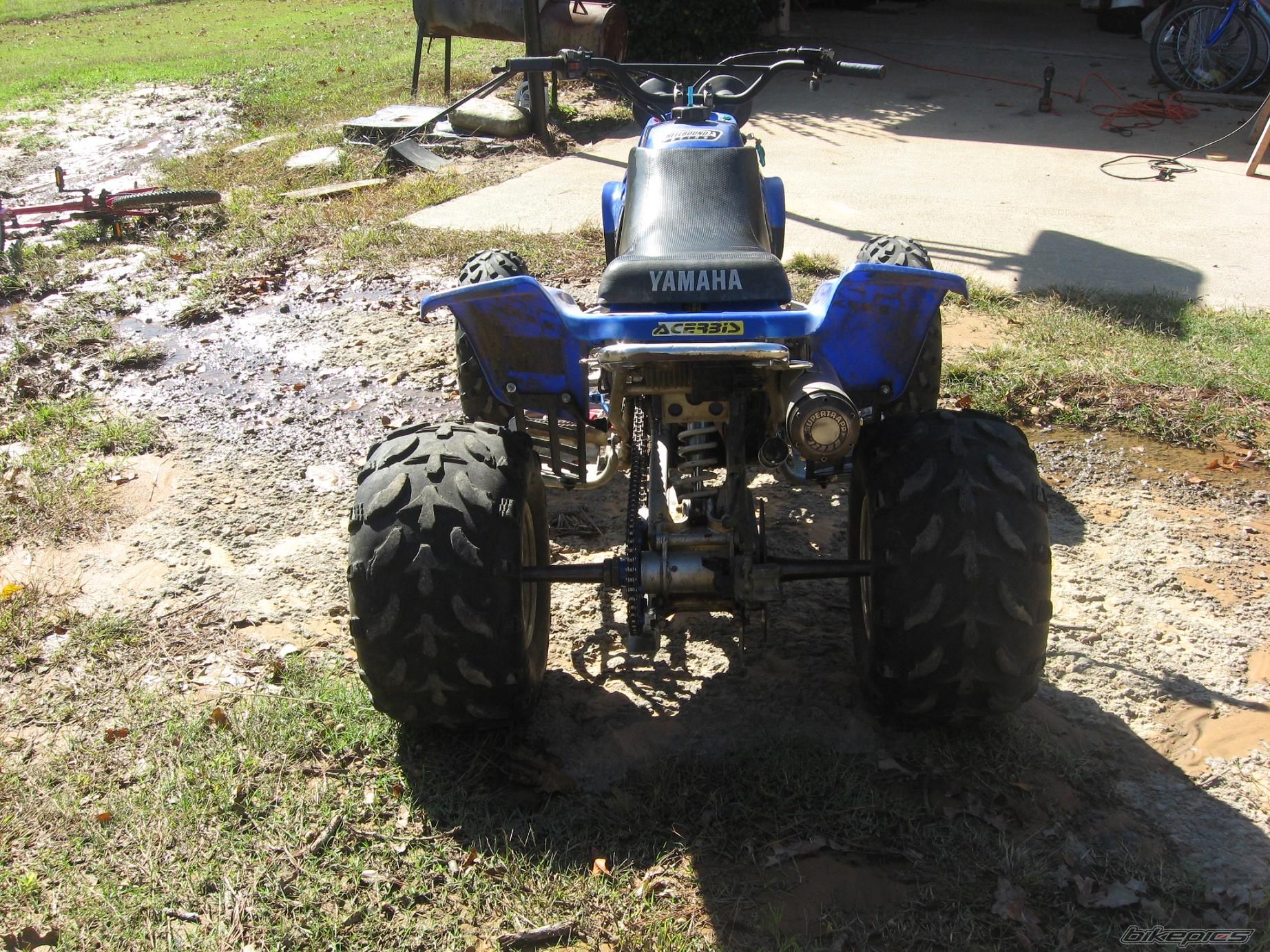 2000 YAMAHA WARRIOR | Picture 1813206 motorcycle photo