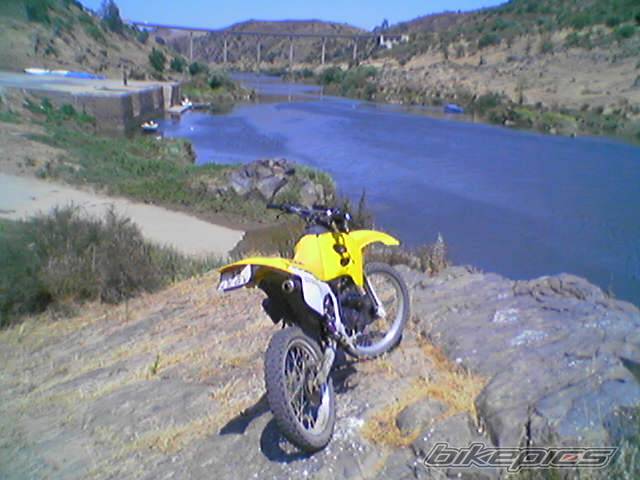 1996 SUZUKI RMX 50 | Picture 181333 motorcycle photo