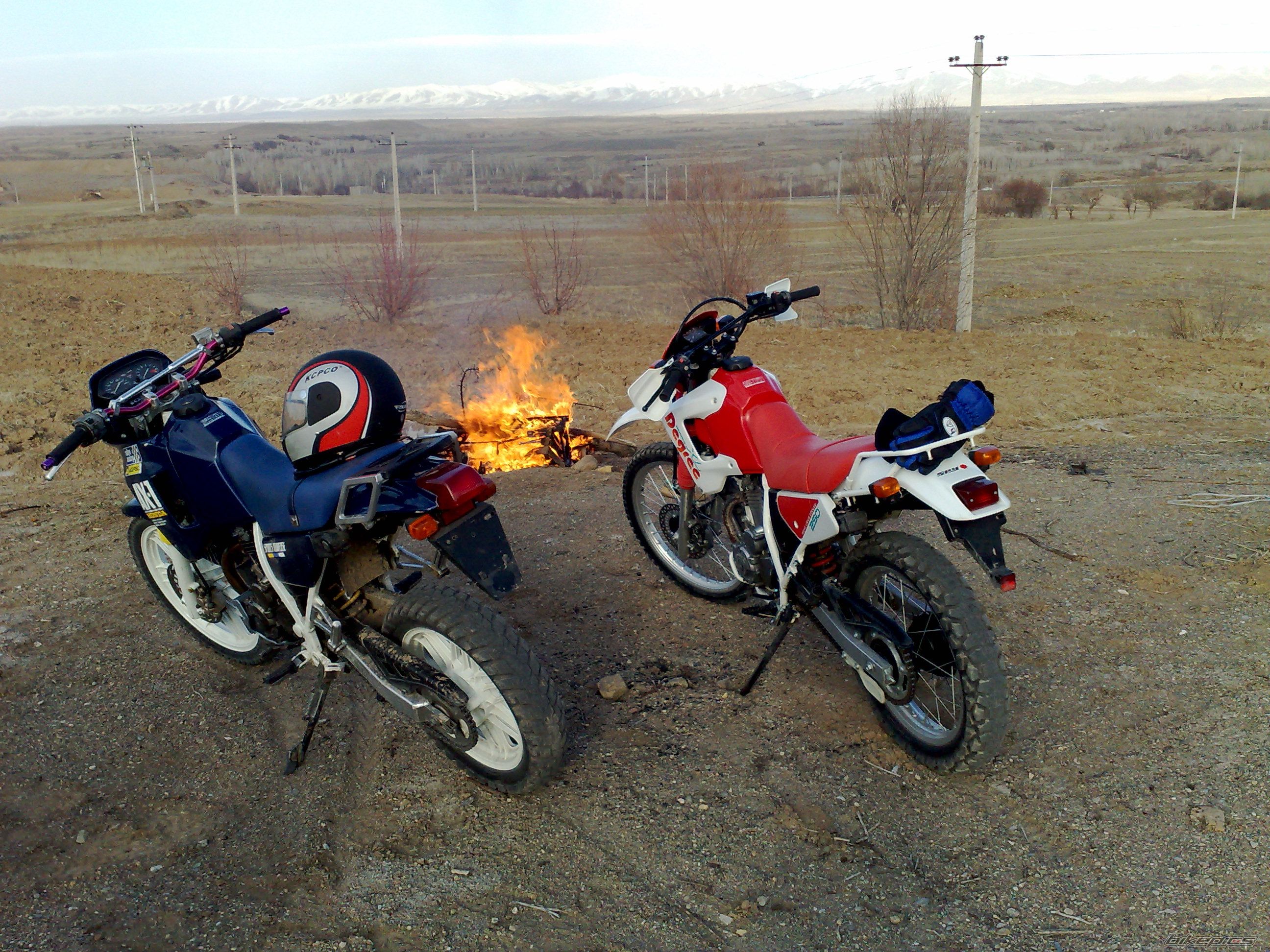 2009 HONDA AX 1 250 | Picture 1814644 motorcycle photo
