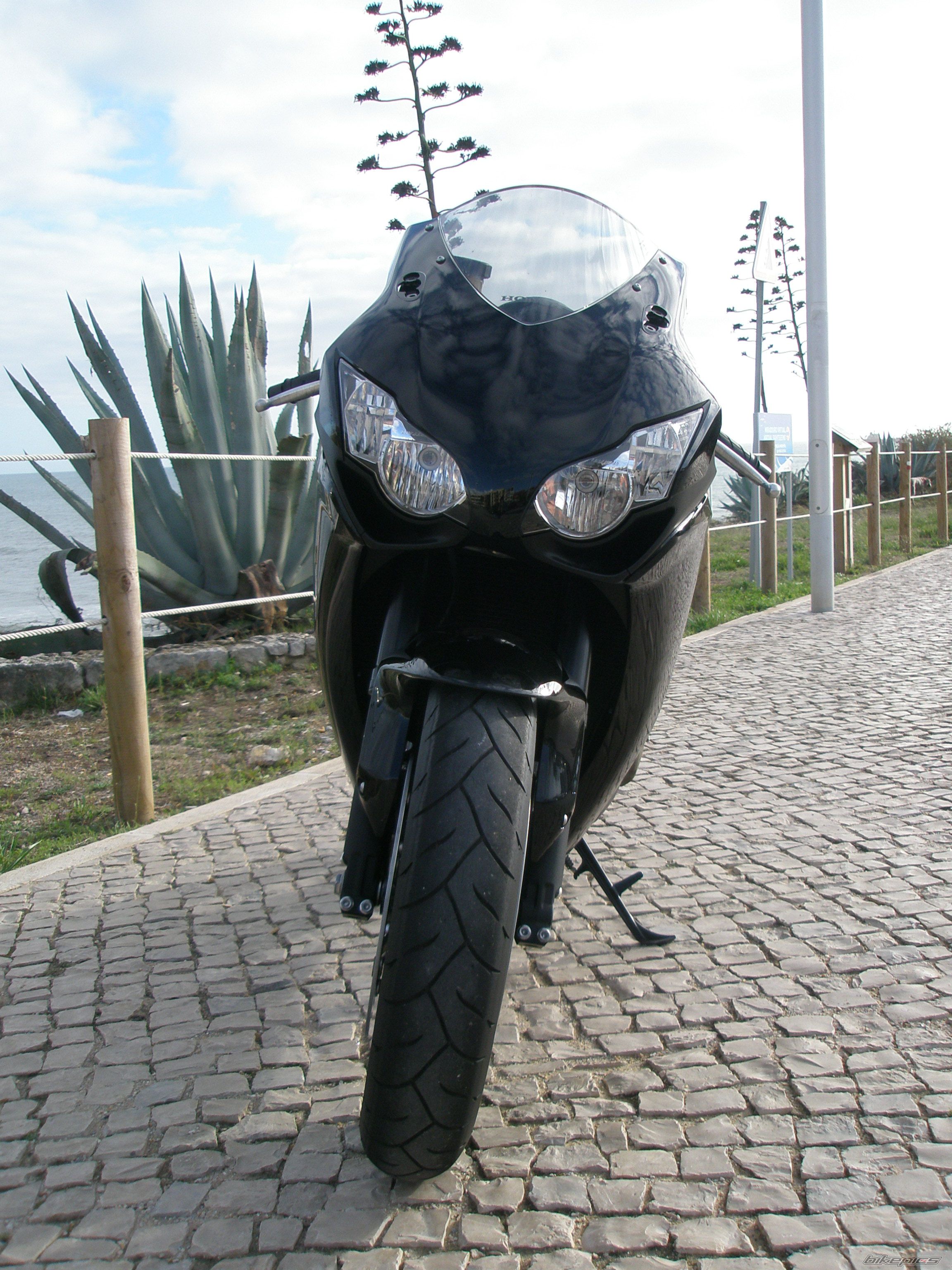 2008 HONDA CBR 1000  RR | Picture 1814921 motorcycle photo