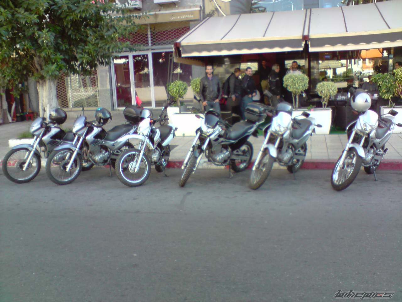 2008 HONDA NX 4 FALCON | Picture 1814971 motorcycle photo