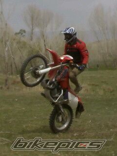 2009 HONDA AX 1 250 | Picture 1815347 motorcycle photo