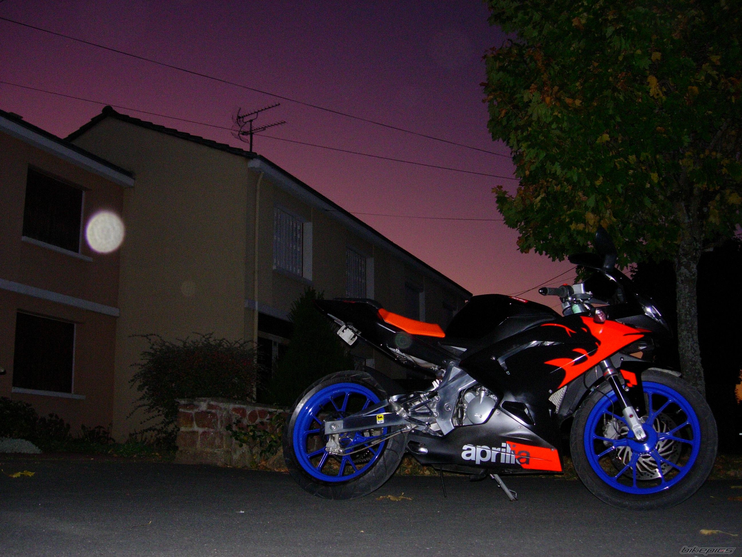 2007 APRILIA RS 50 | Picture 1816827 motorcycle photo