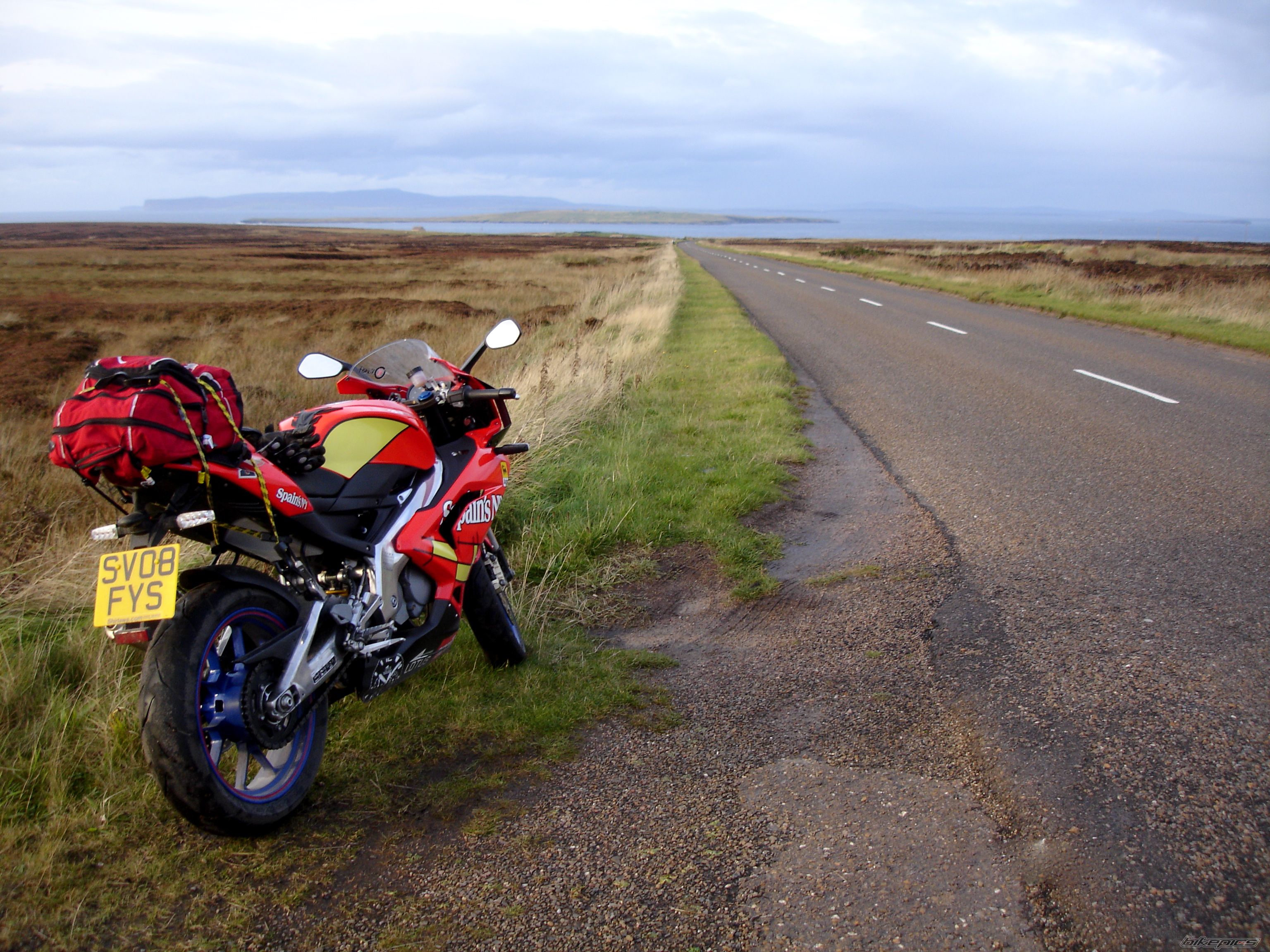 2008 APRILIA RS 125 | Picture 1817187 motorcycle photo