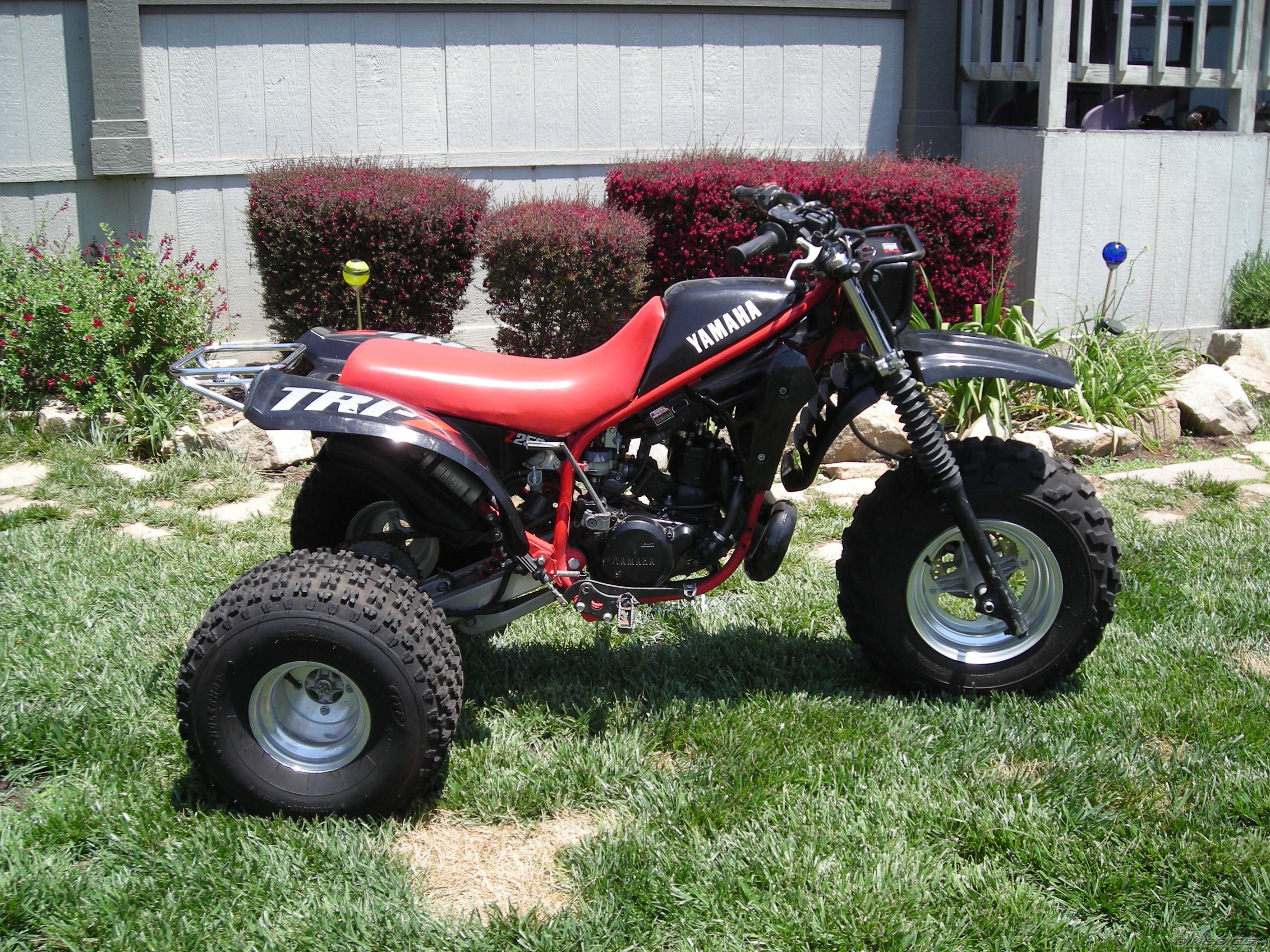 1985 YAMAHA TRI Z 250 | Picture 1817250 motorcycle photo