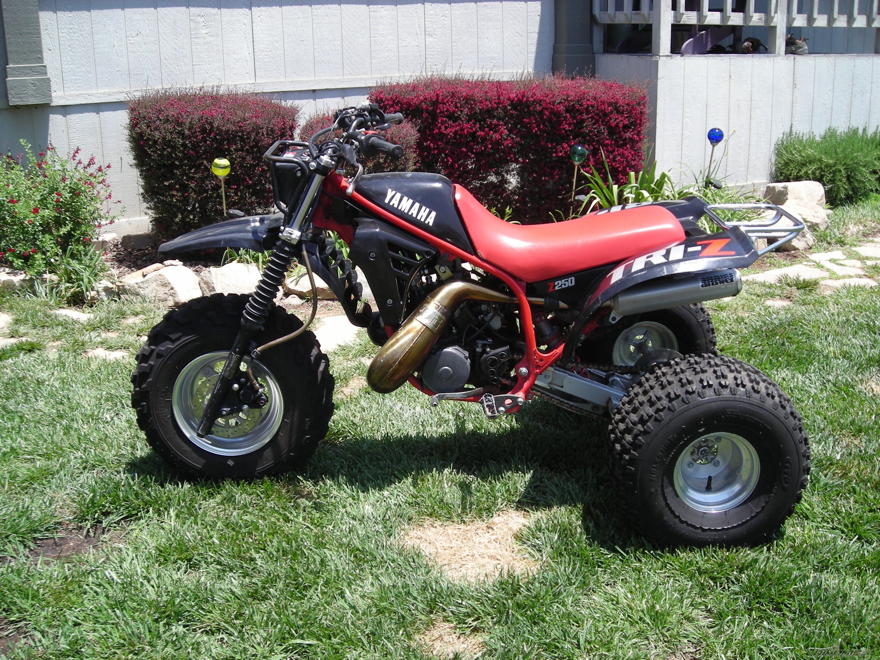 1985 YAMAHA TRI Z 250 | Picture 1817251 motorcycle photo