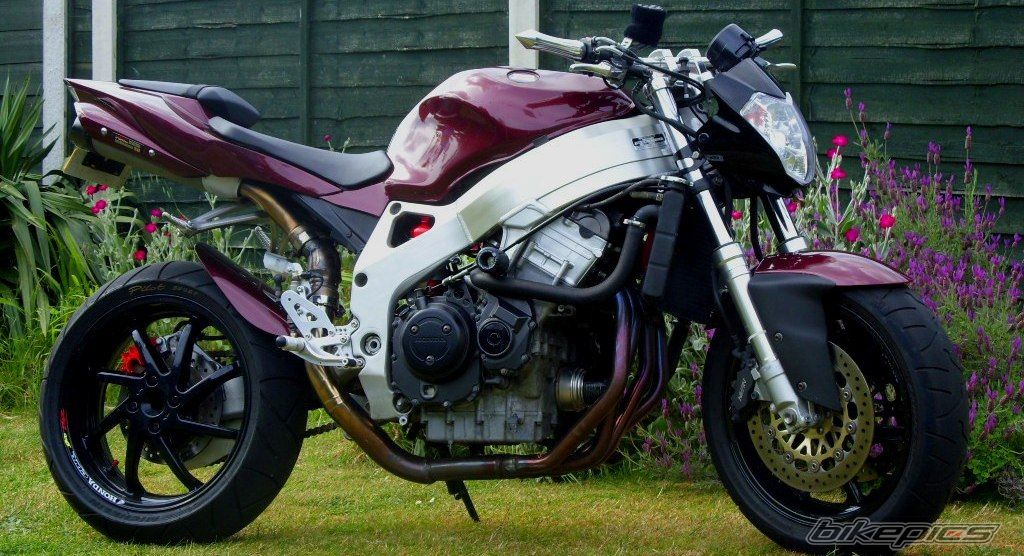 1996 HONDA CBR 900 | Picture 1817938 motorcycle photo
