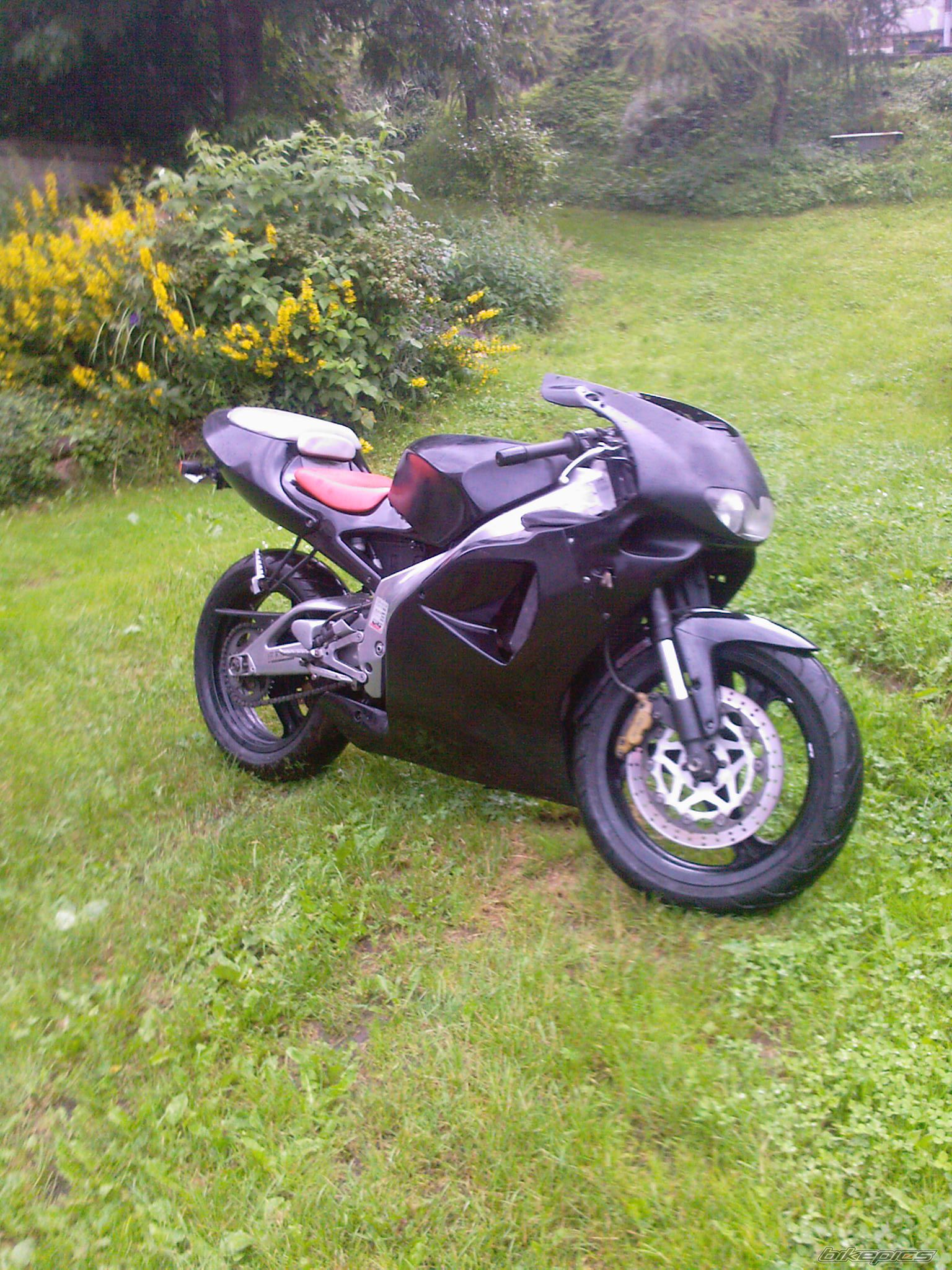 1997 APRILIA RS 125 | Picture 1817962 motorcycle photo