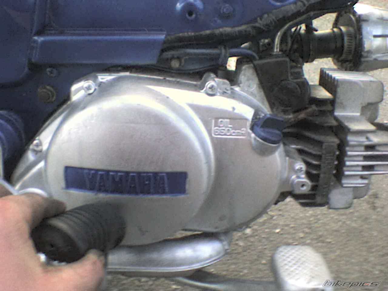2009 YAMAHA V 50 | Picture 1818004 motorcycle photo