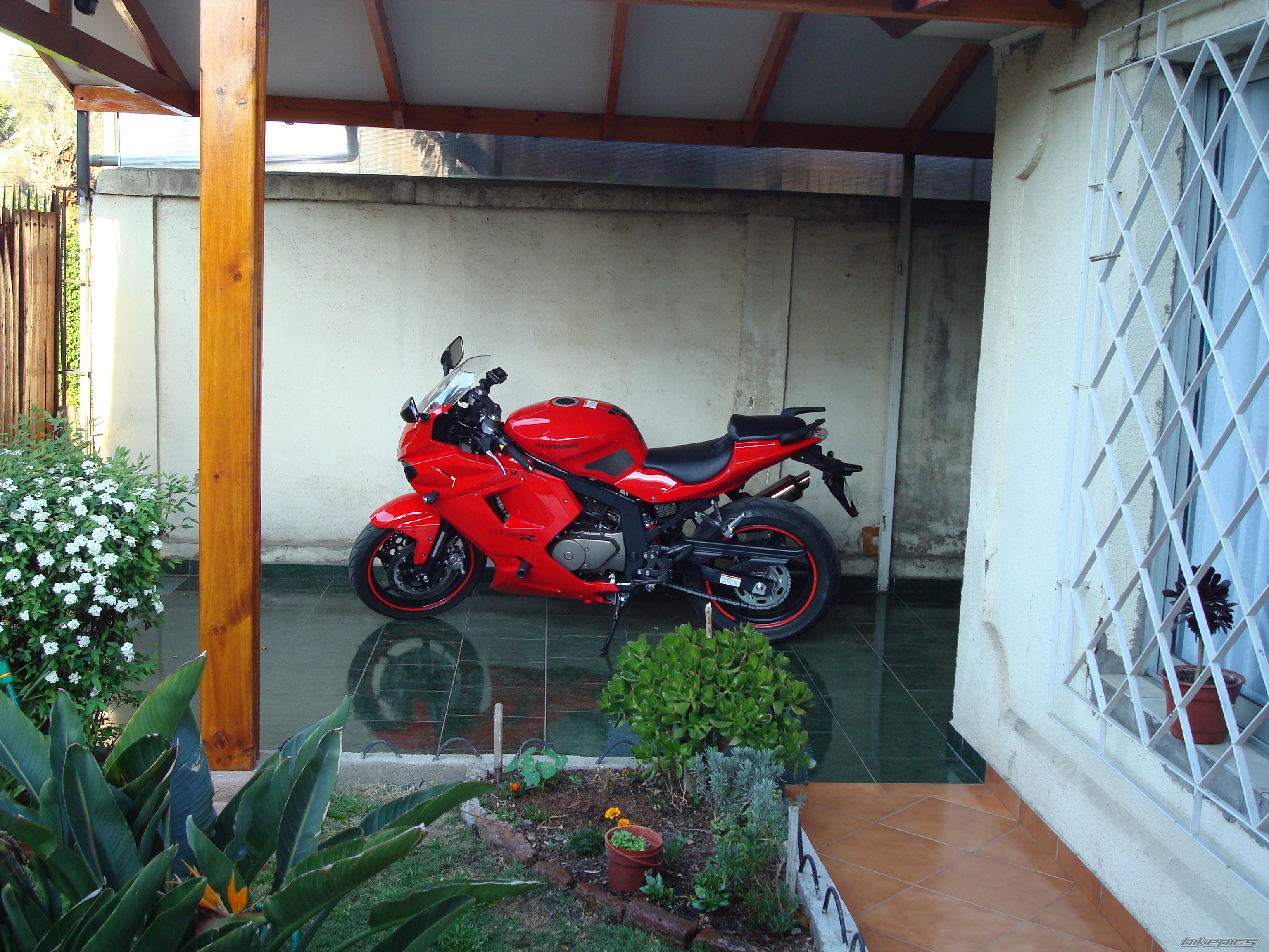 2010 HYOSUNG GT 250 R COMET | Picture 1818629 motorcycle photo