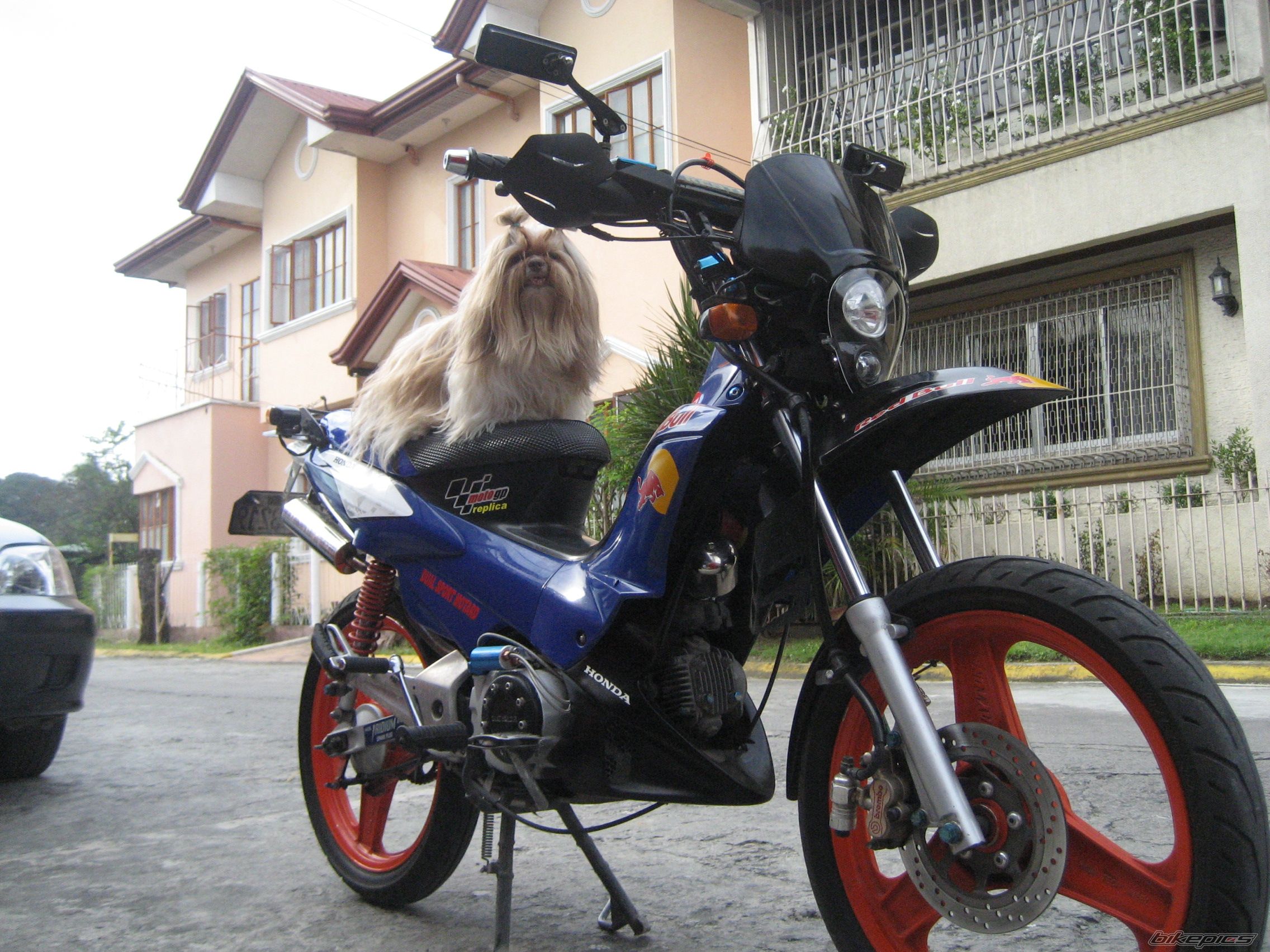 2007 HONDA XRM 110 | Picture 1819678 motorcycle photo